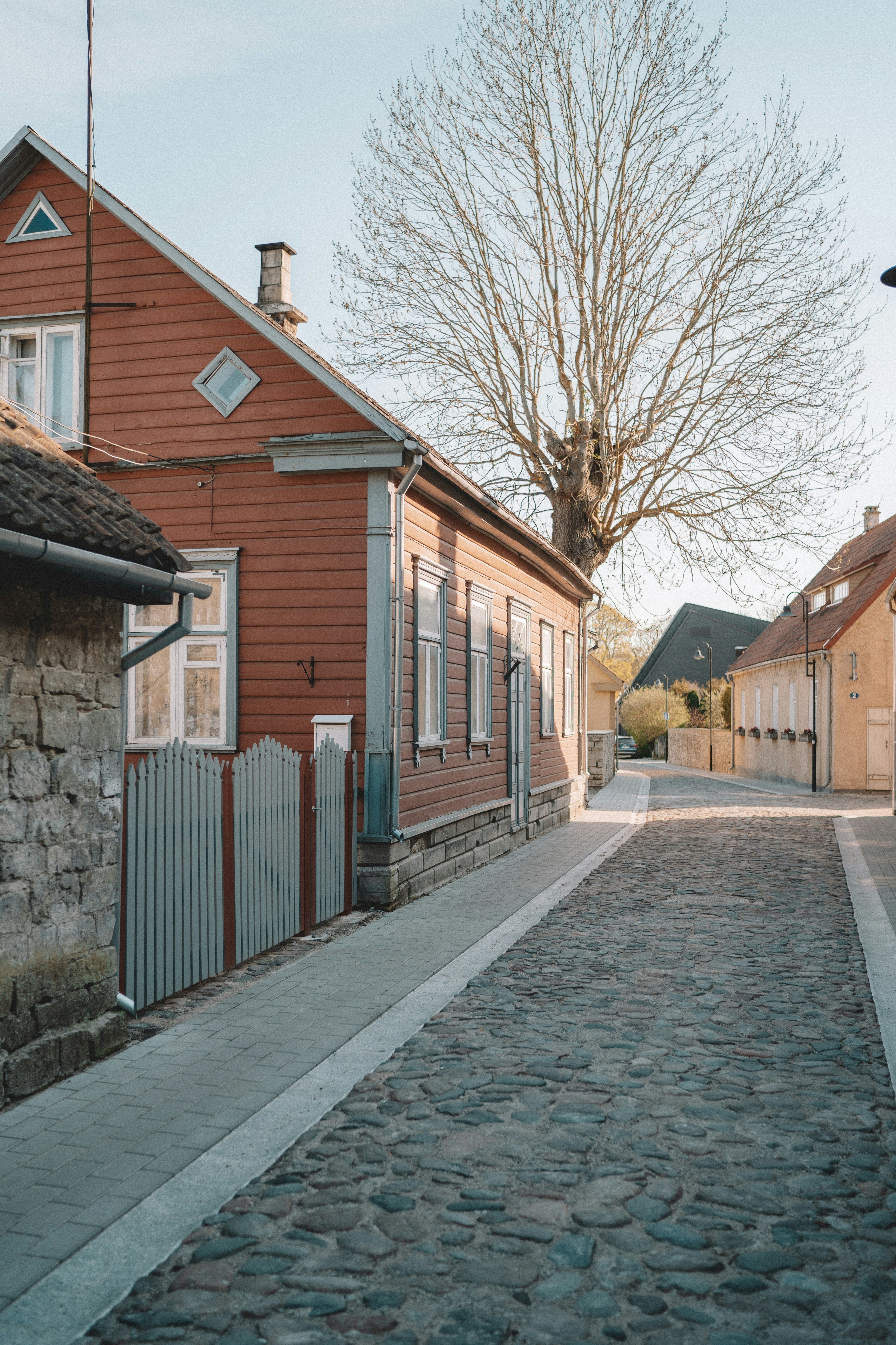 Image of 120L of vegetable