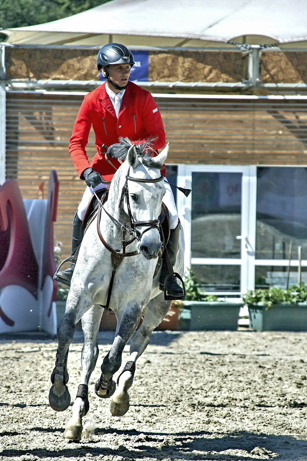 man in red jacket riding white horse during daytime