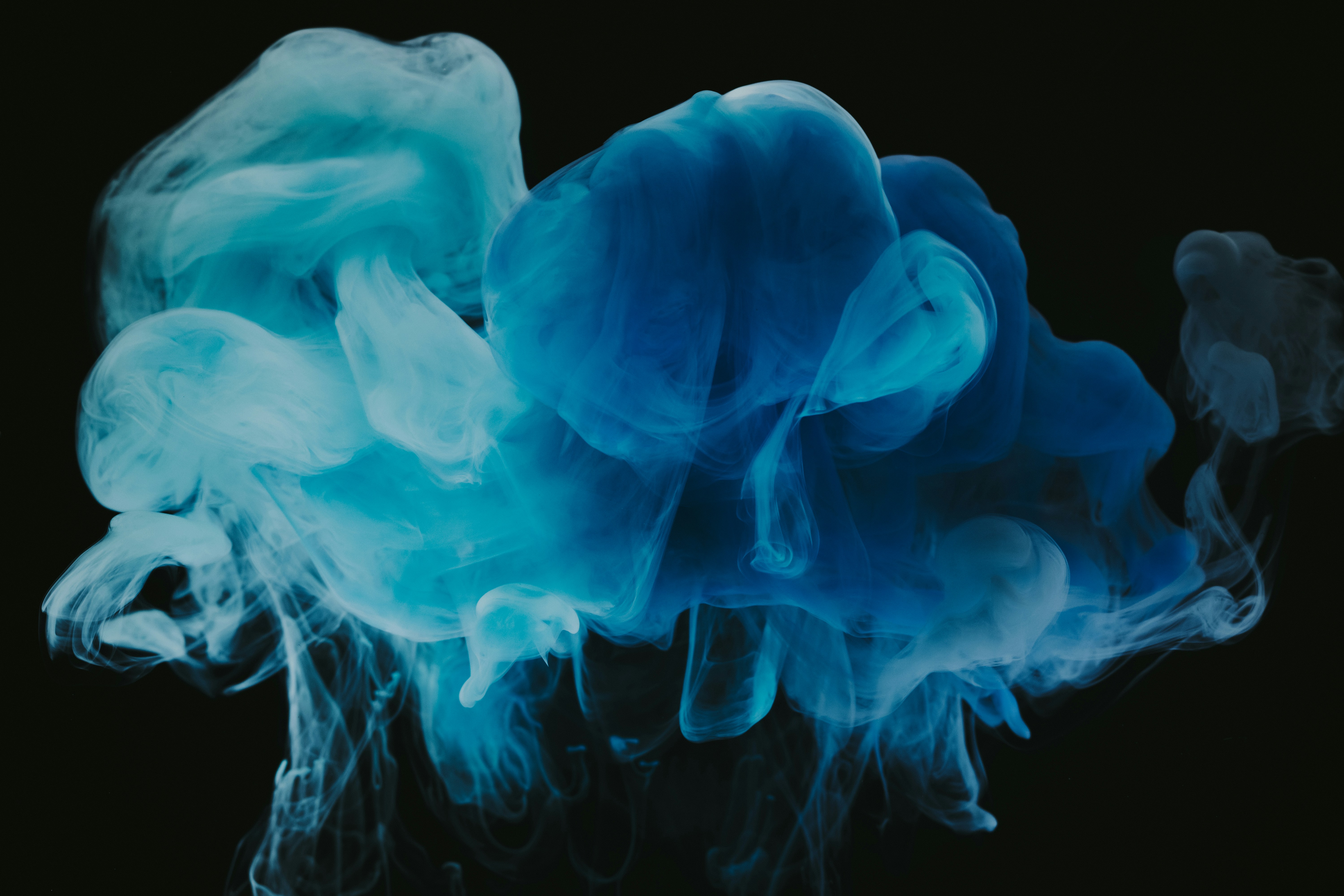 The Hidden Wisdom in Religious Dietary Laws