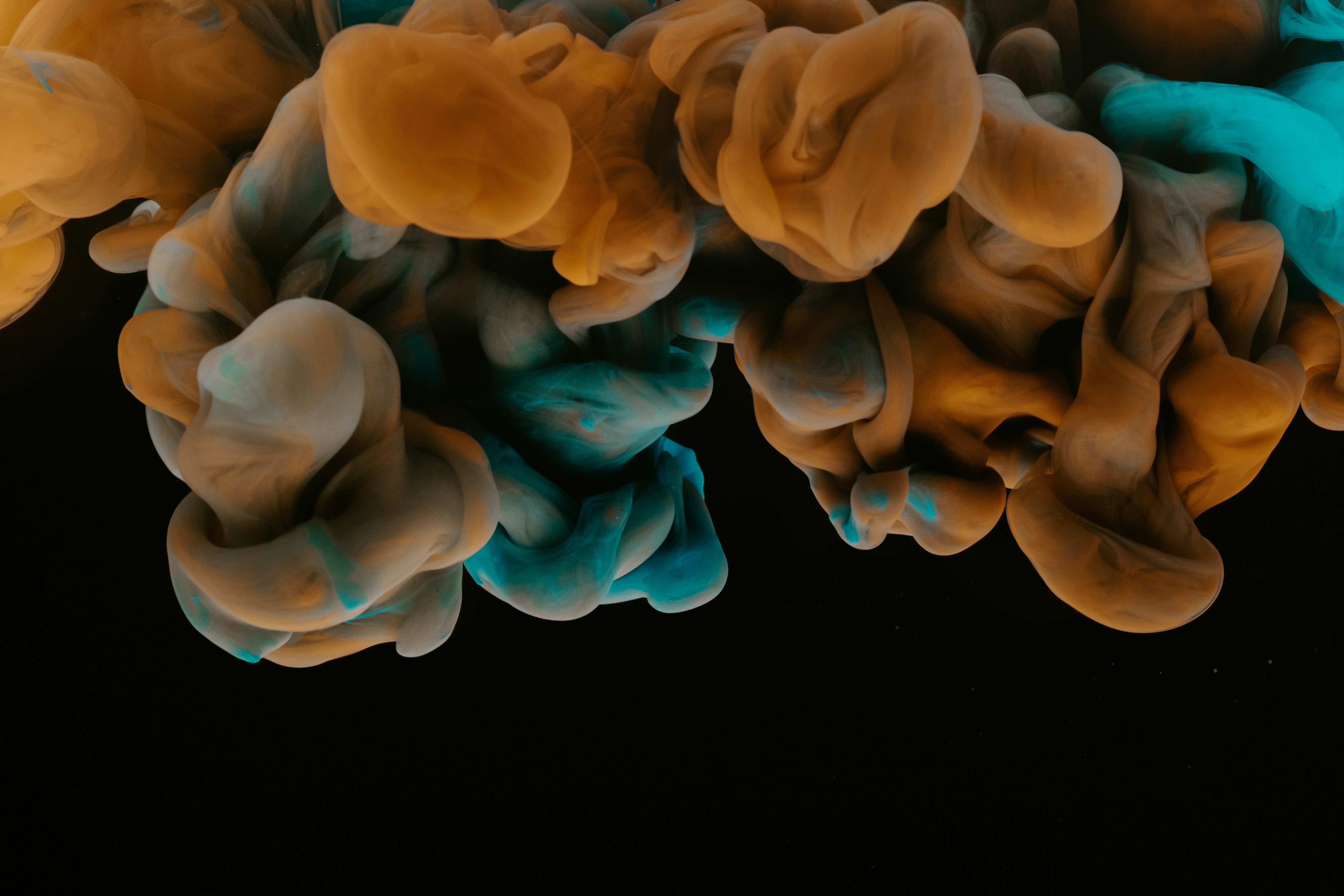 Photo by pawel_czerwinski