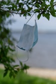 A disposable face mask hangs from the branch of a tree, with green leaves in the foreground. The background is slightly blurred, indicating an outdoor setting near a body of water.