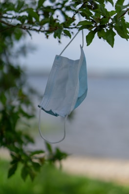 A disposable face mask hangs from the branch of a tree, with green leaves in the foreground. The background is slightly blurred, indicating an outdoor setting near a body of water.