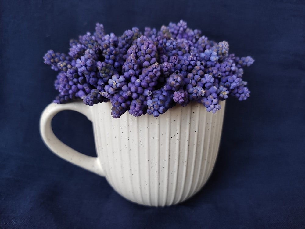 purple flowers in white ceramic vase