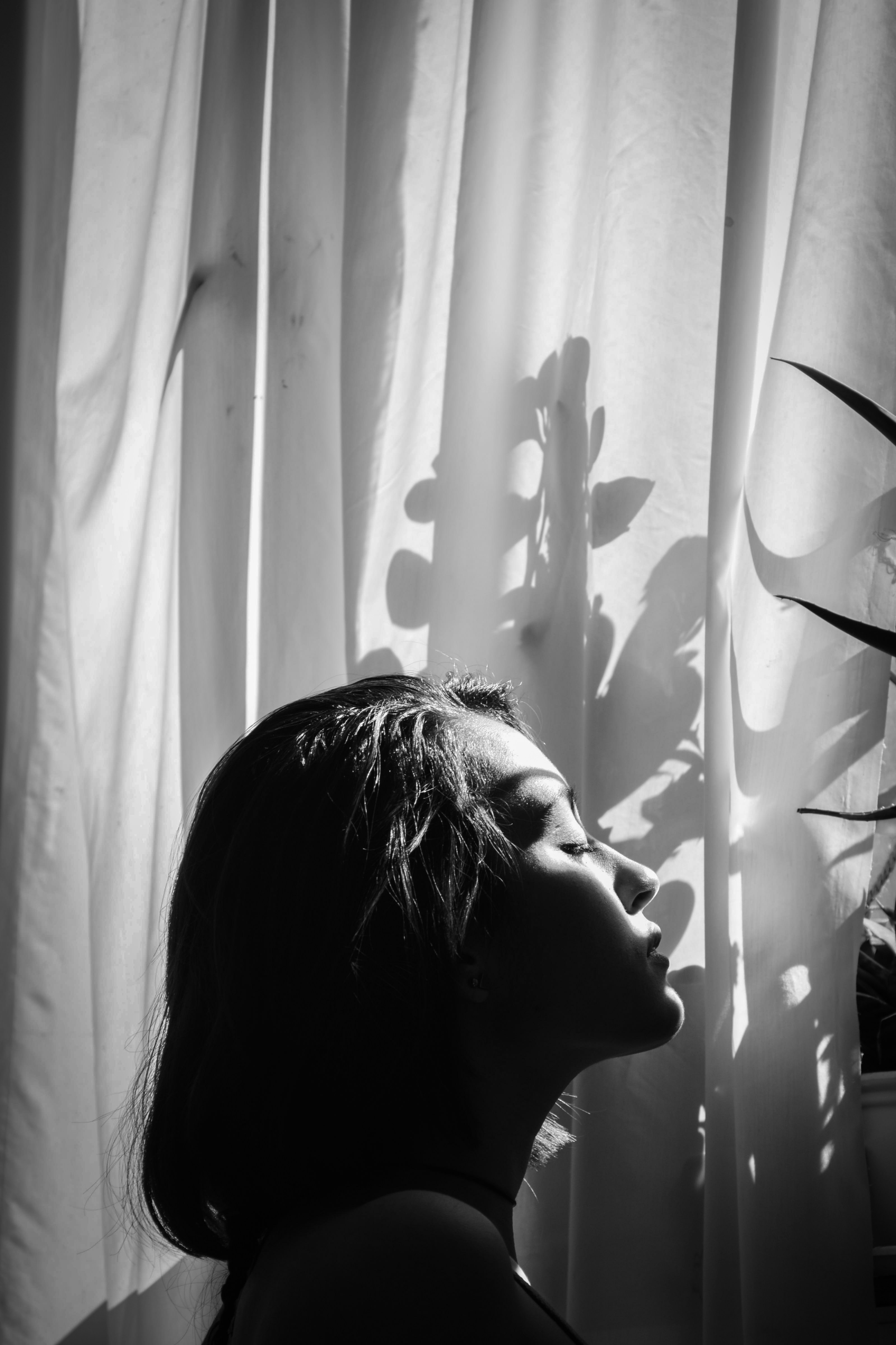 Photo by shivahemmat