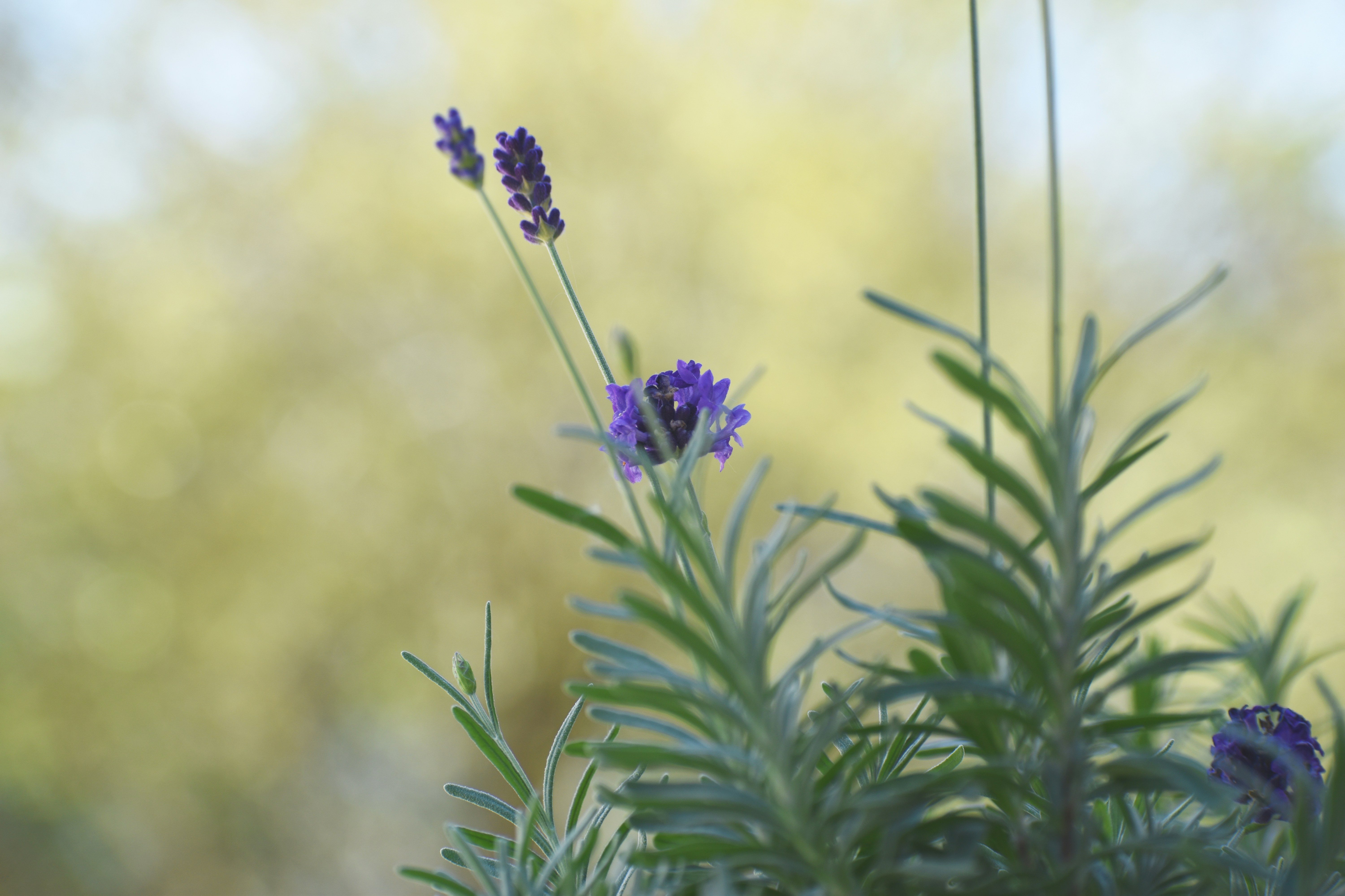 Guitar Lessons in Gulfport, FL Top Rated Teachers Til