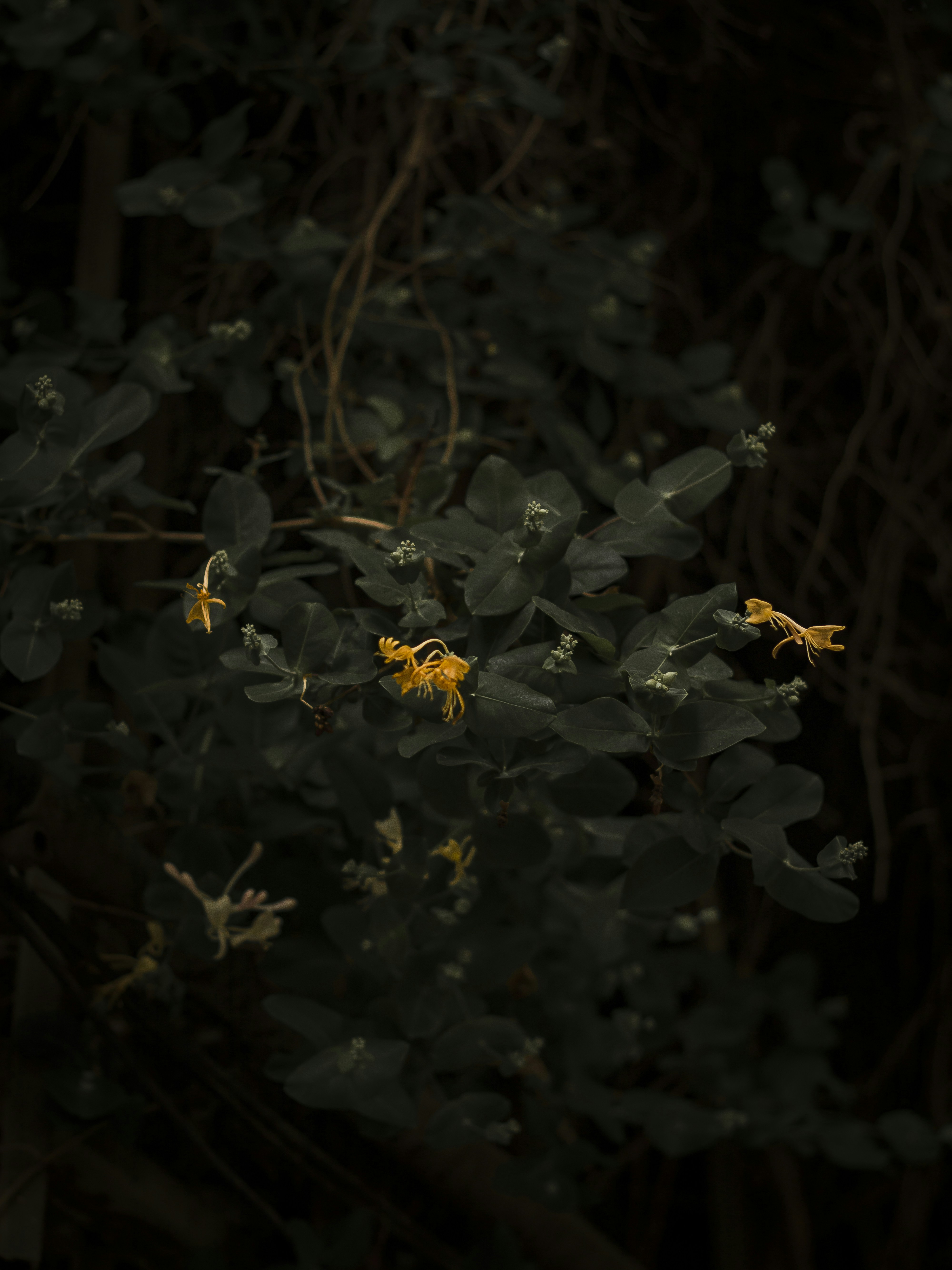 Photo by idinebrahimi