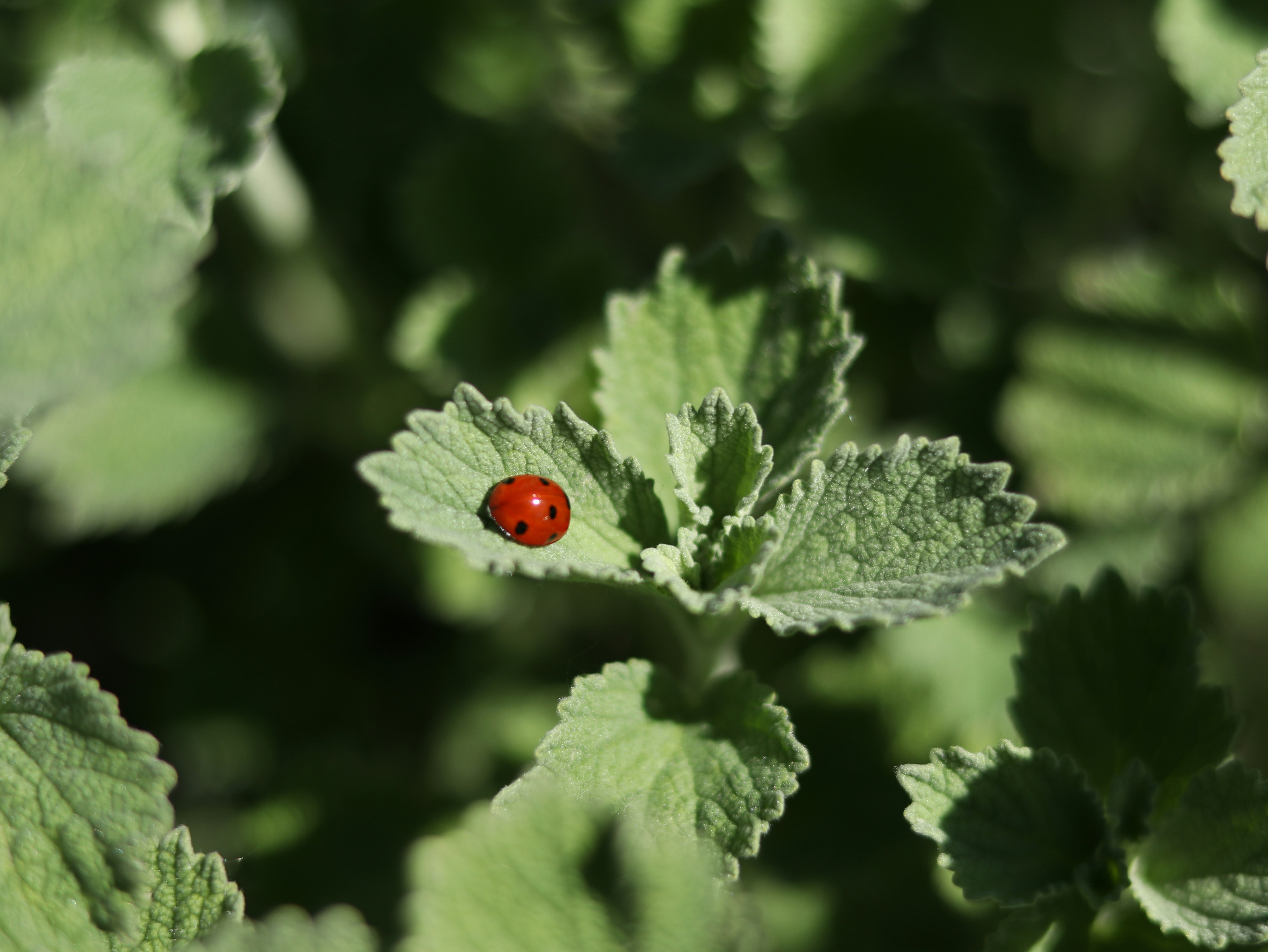 Photo by reloadworld4dreamers