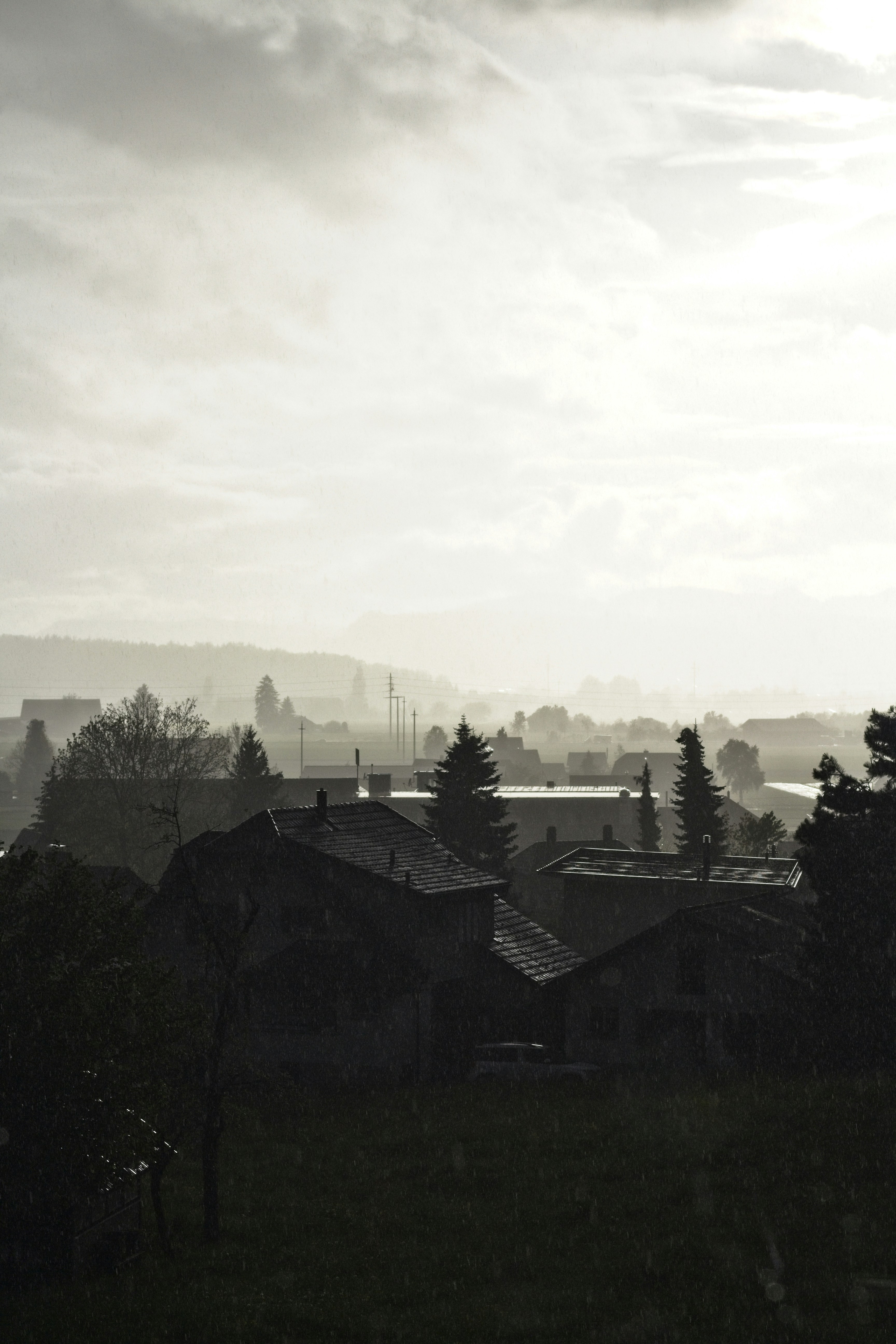 houses on top of hill during daytime