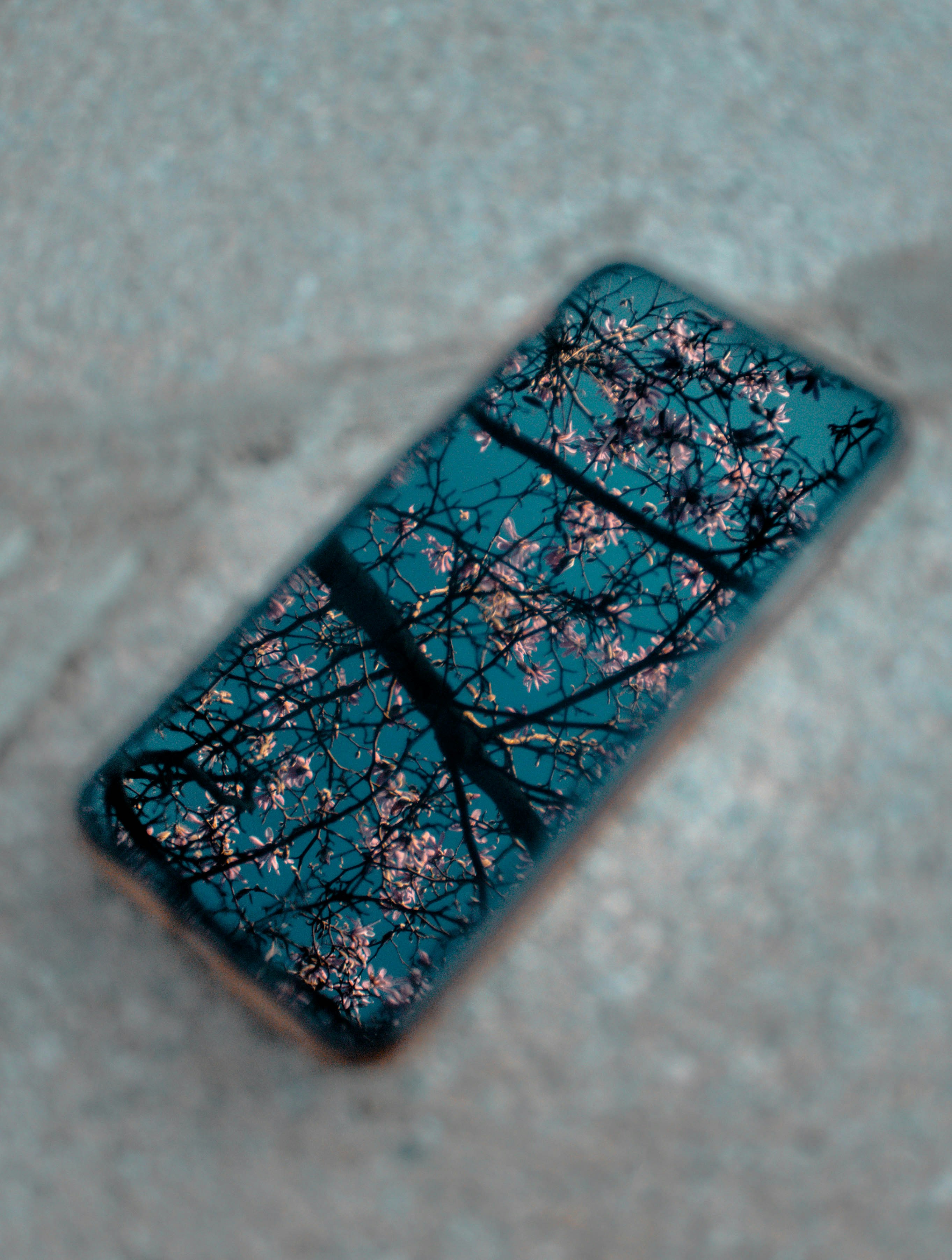 black and blue square board