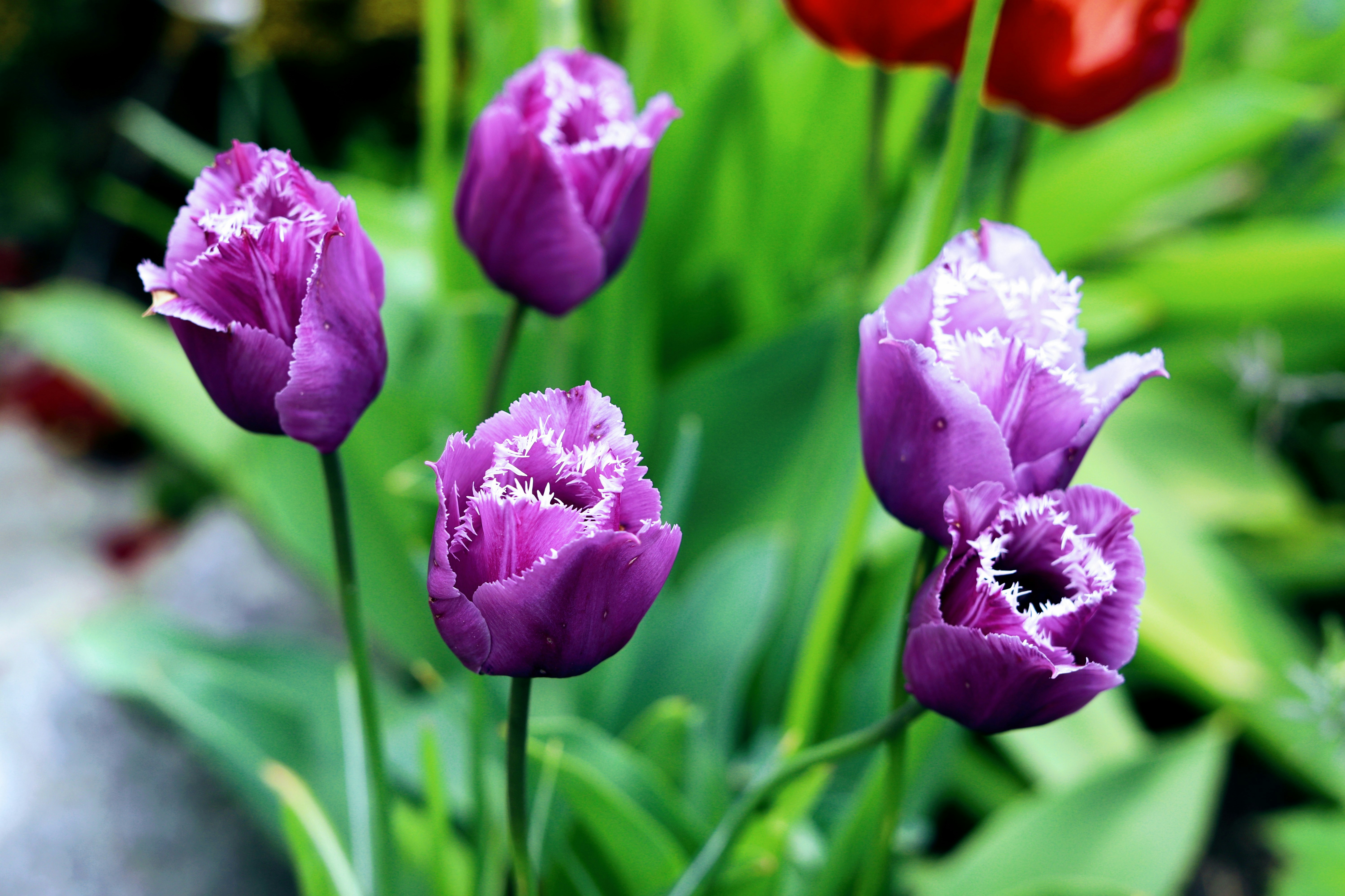 Photo by gabriellenca