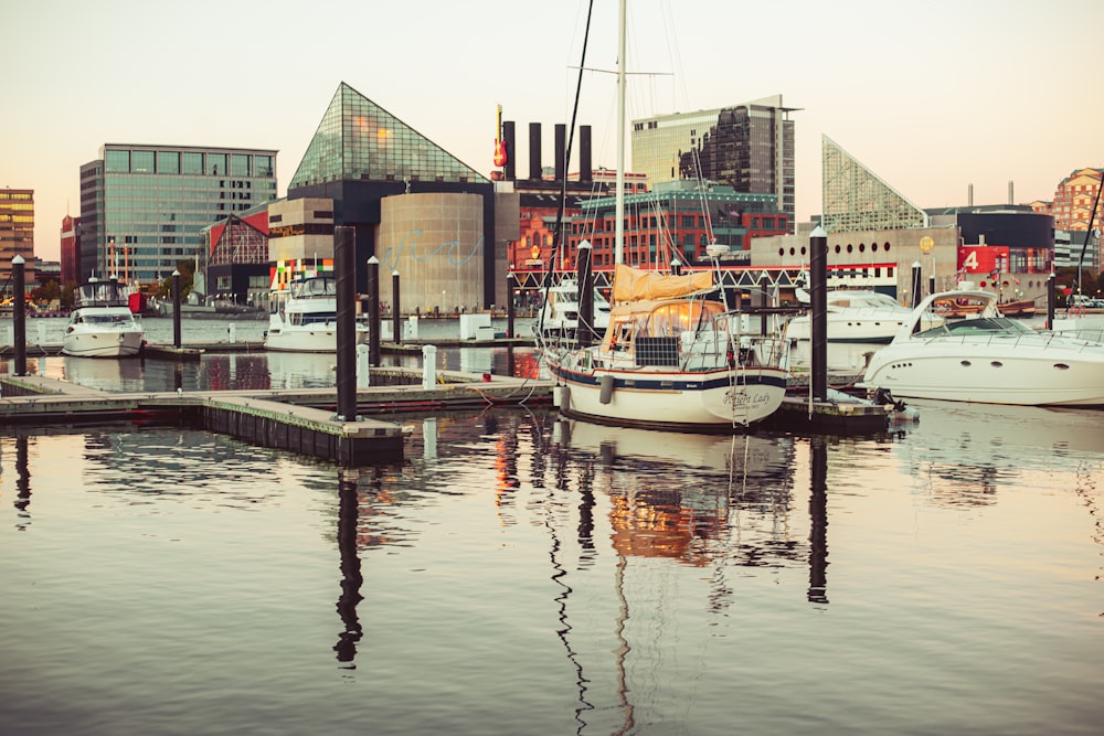 white and black boat on dock during daytime