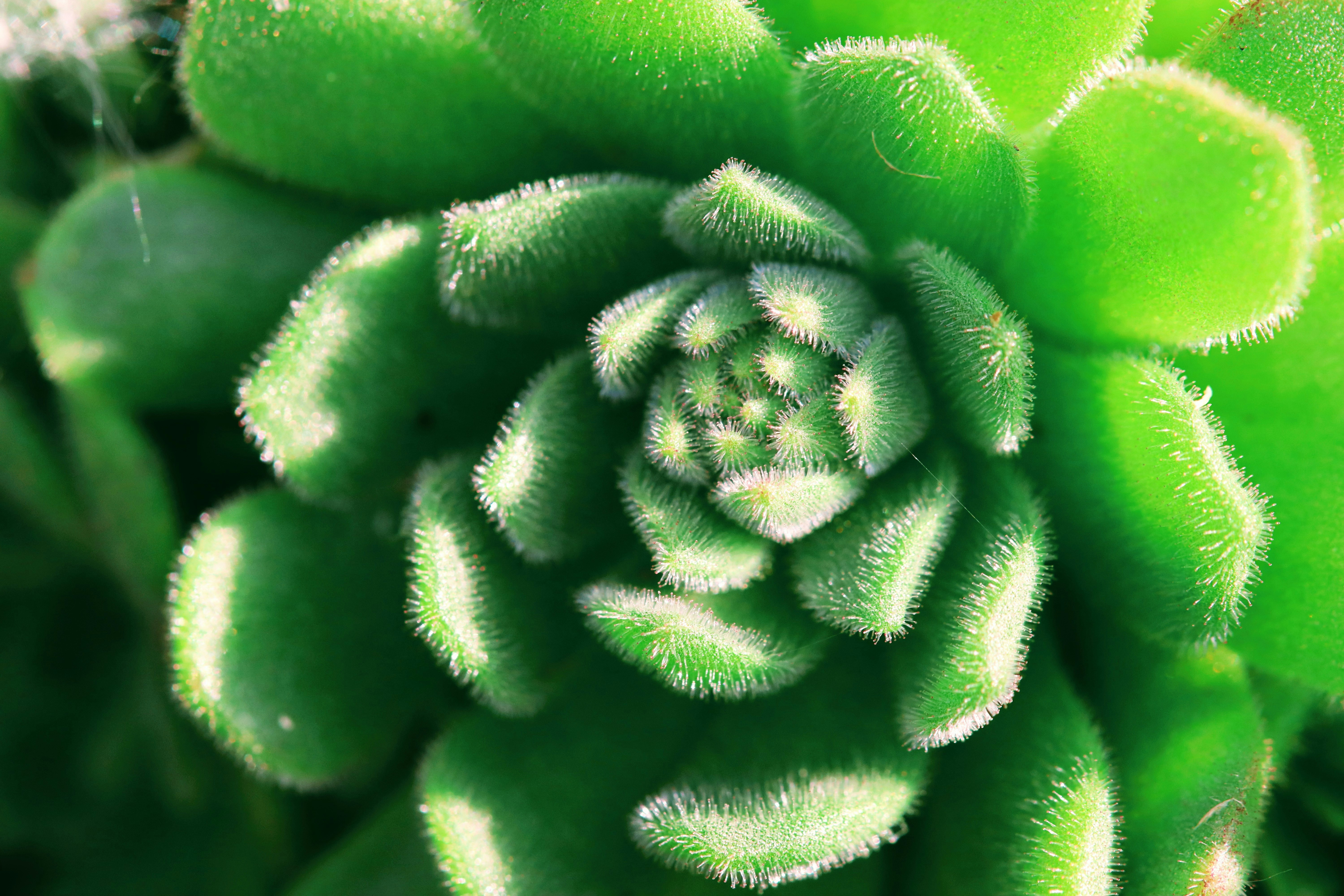 Photo by gabriellenca