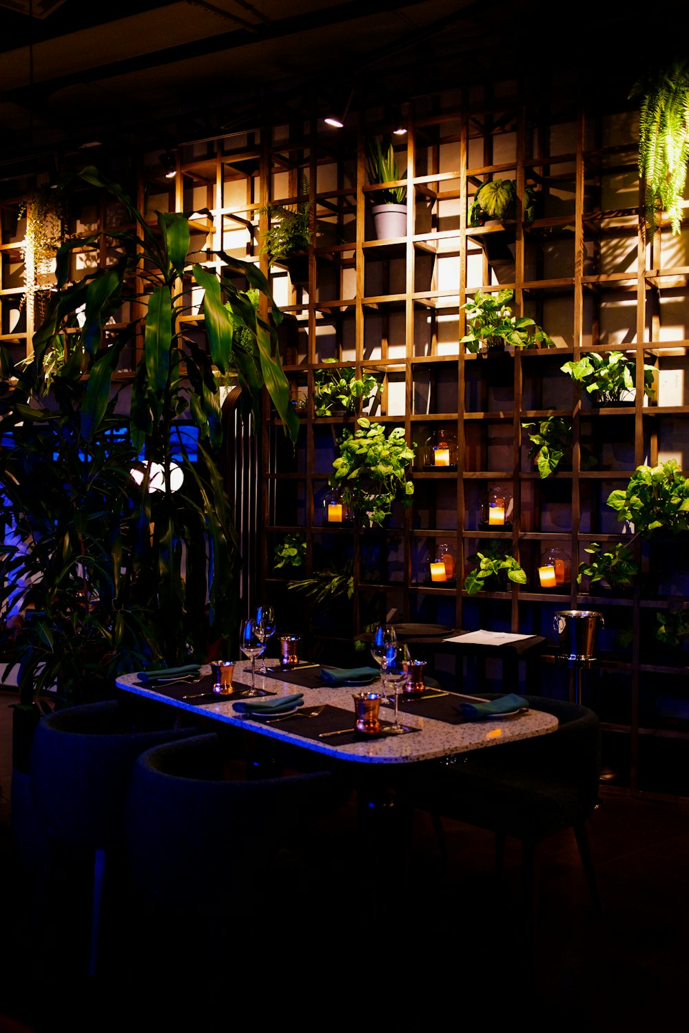 green potted plant on brown wooden table