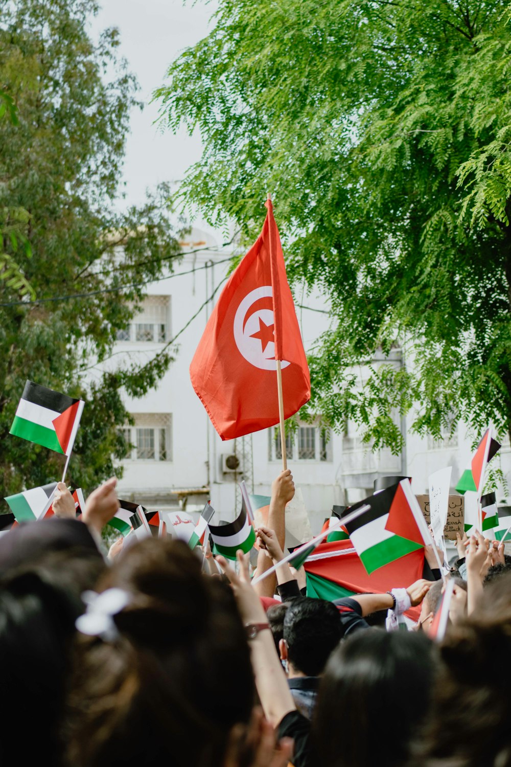 people holding flags during daytime