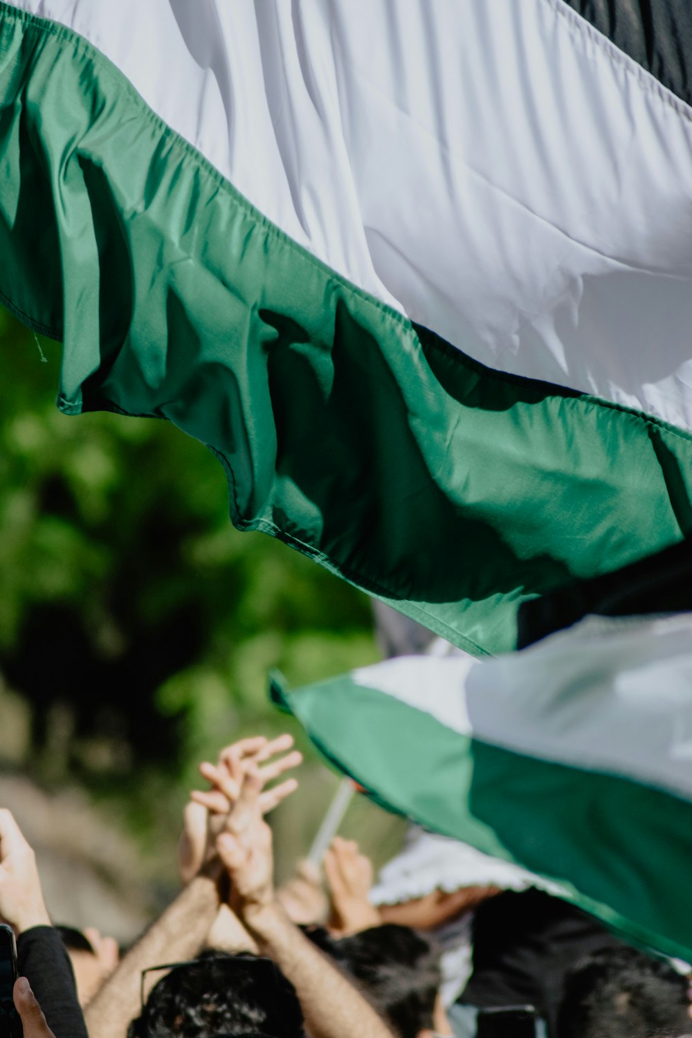 person holding green and white flag