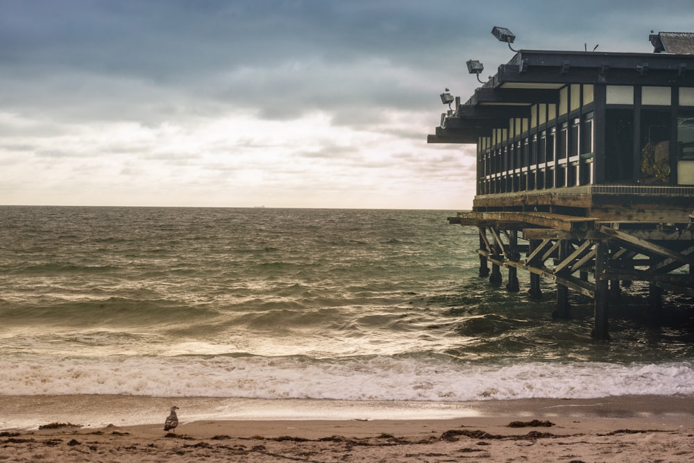 brown wooden dock on sea during daytime