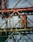 Rusty metallic structure composed of various intersecting beams and frames, possibly part of an industrial site or construction equipment. The metal shows signs of aging and corrosion, with patches of rust and faded paint. The background is a clear blue sky, providing a stark contrast to the aged metal.