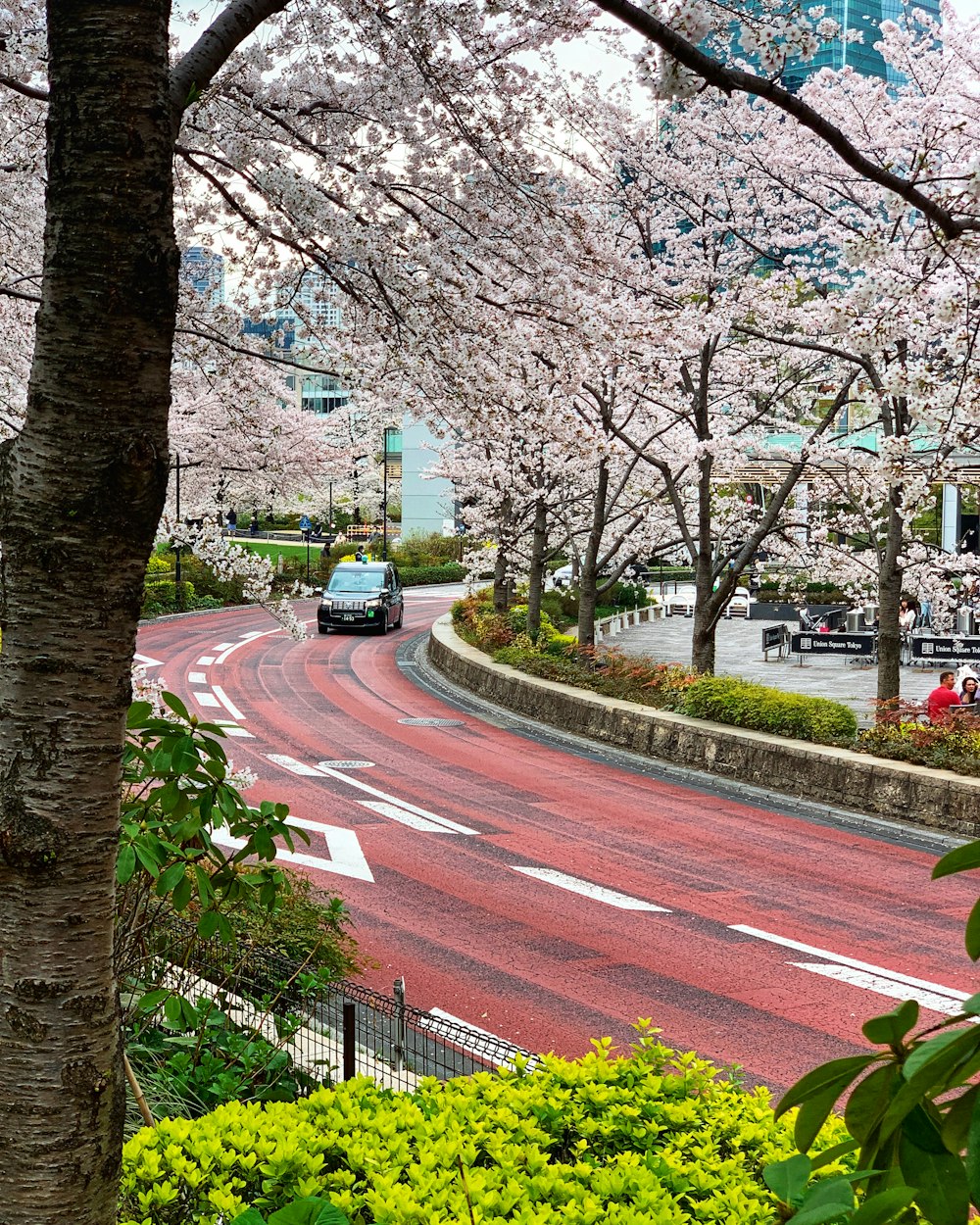 a car driving down a street next to a lush green park