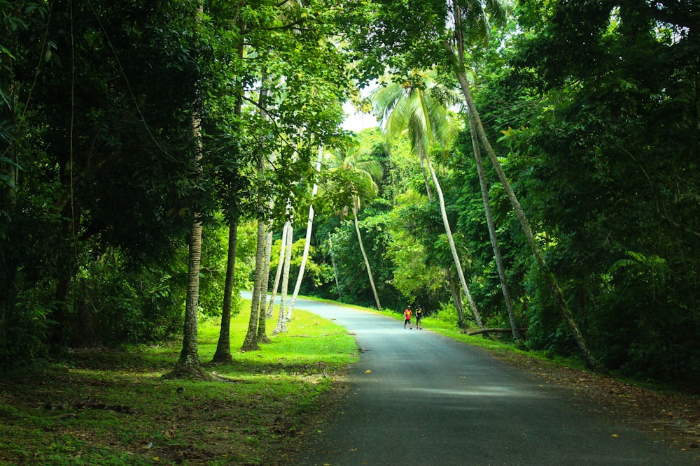 person in red shirt walking on gray asphalt road between green trees during daytime