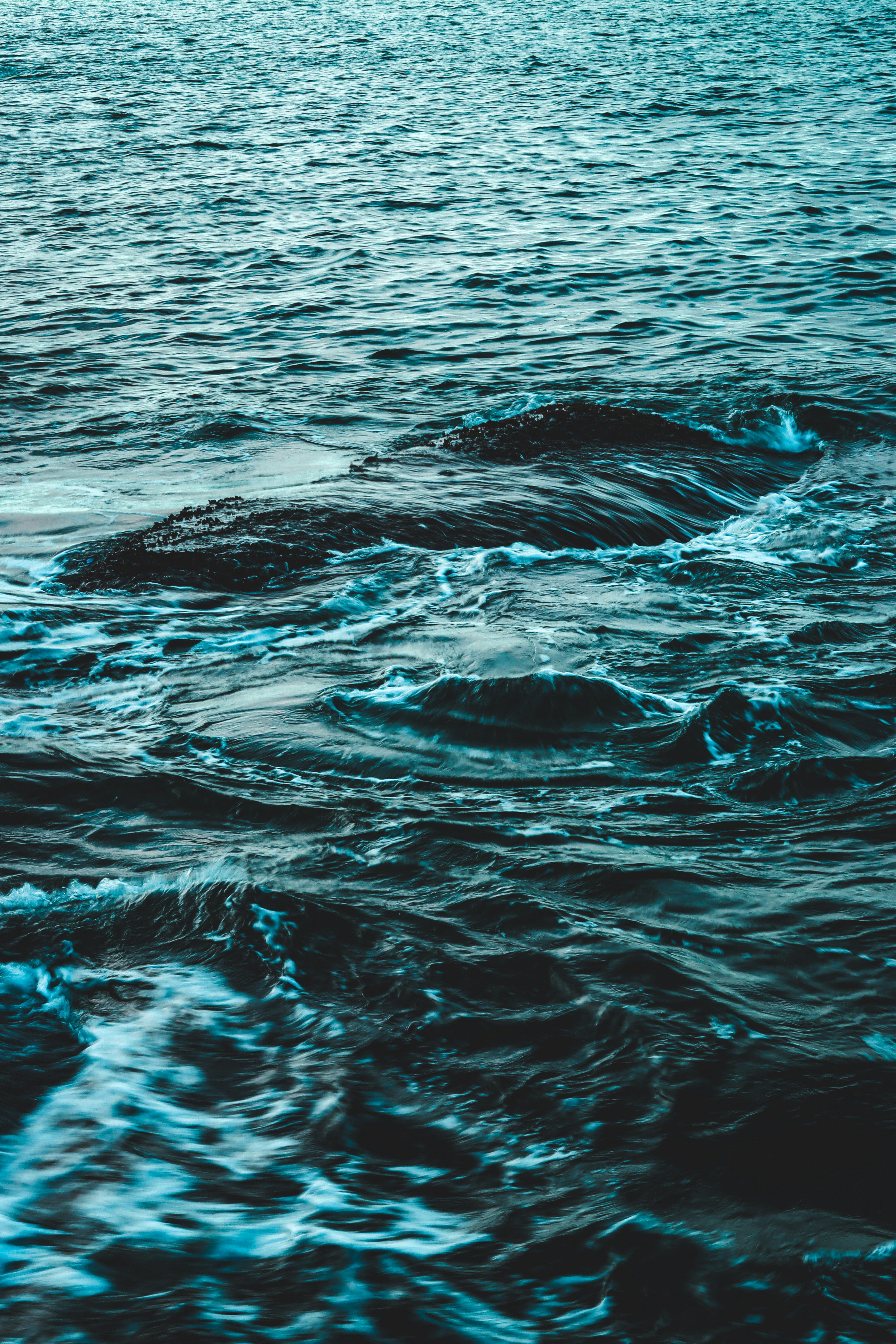 Photo by gabrielfotos