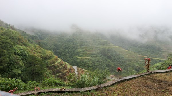 Person walking on pathway between green trees during daytime — Banaue & the rice terraces, Philippines