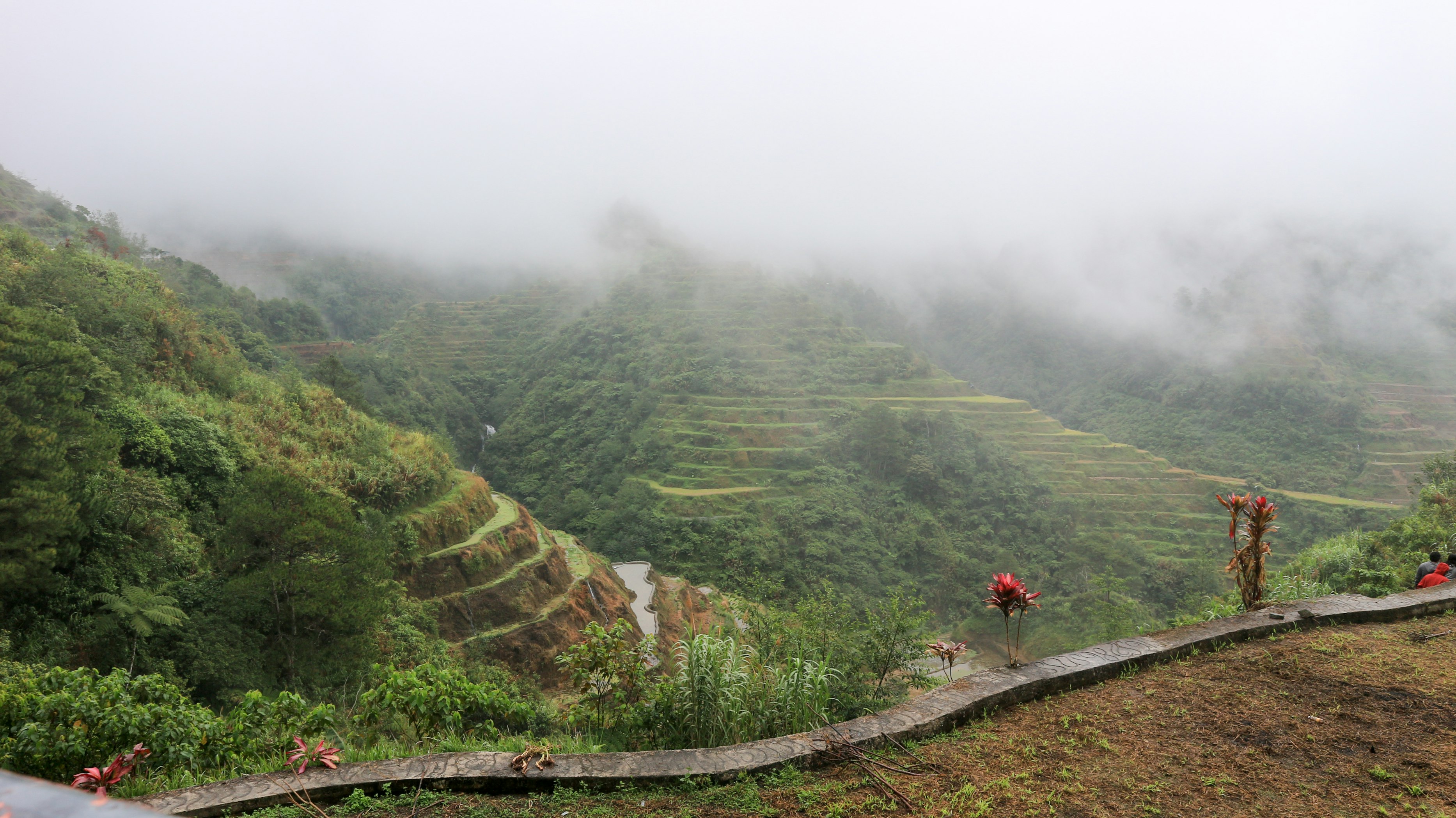 Lush green rice terraces cascading down mountains in Banaue