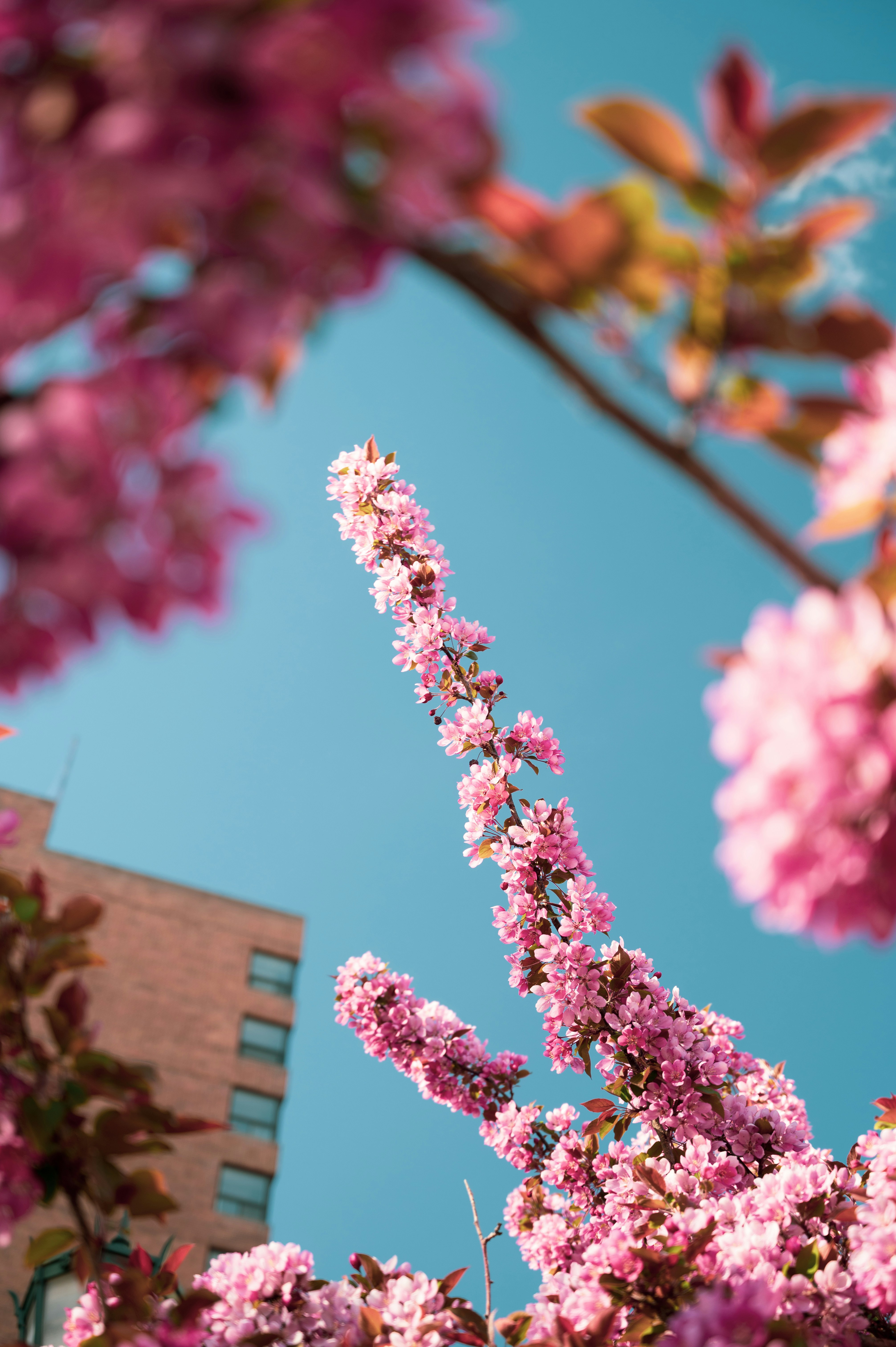 Photo by ryunosuke_kikuno