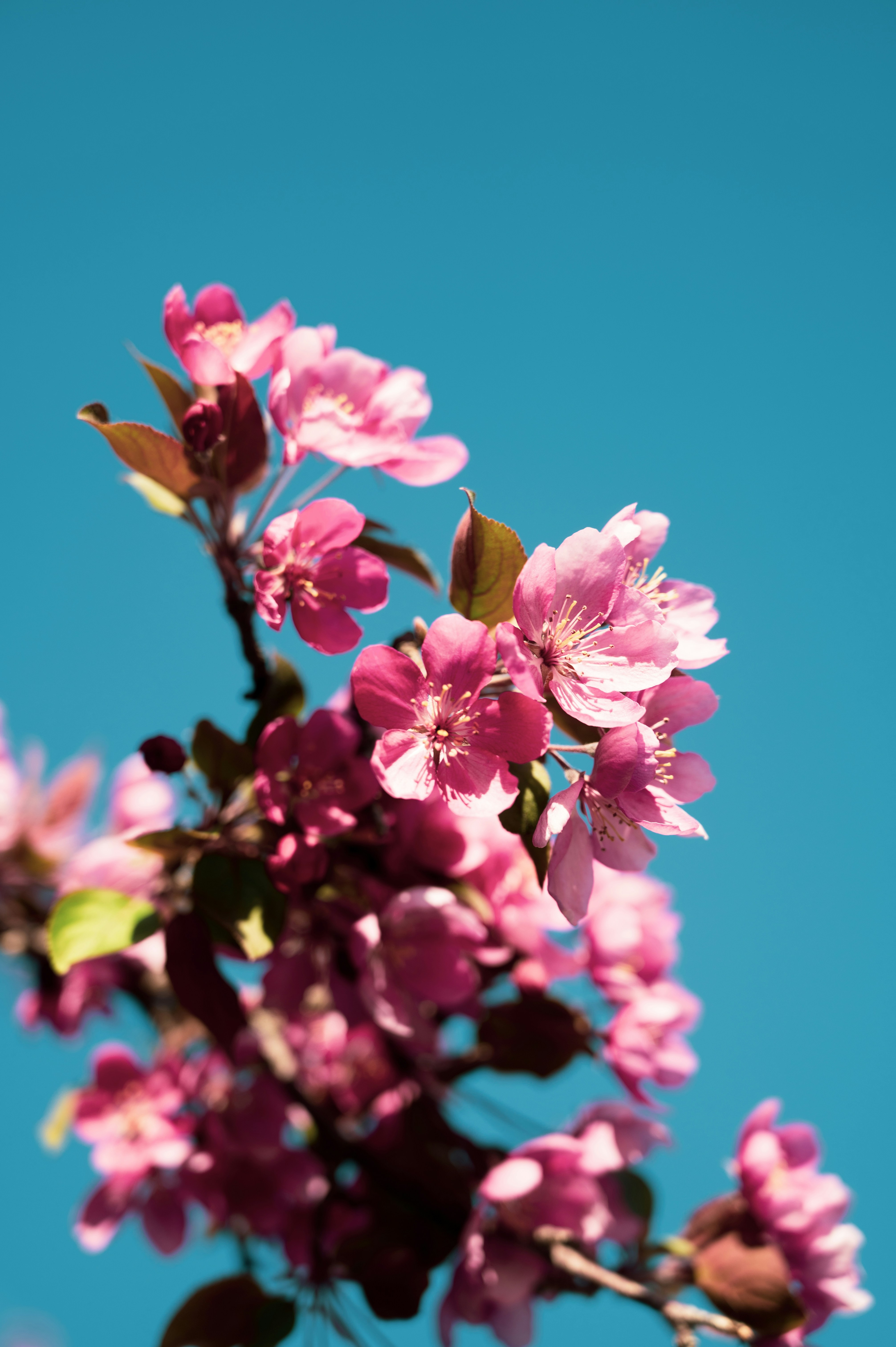 Photo by ryunosuke_kikuno