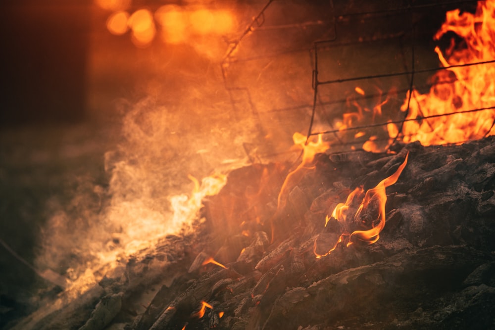 burning firewood on fire pit