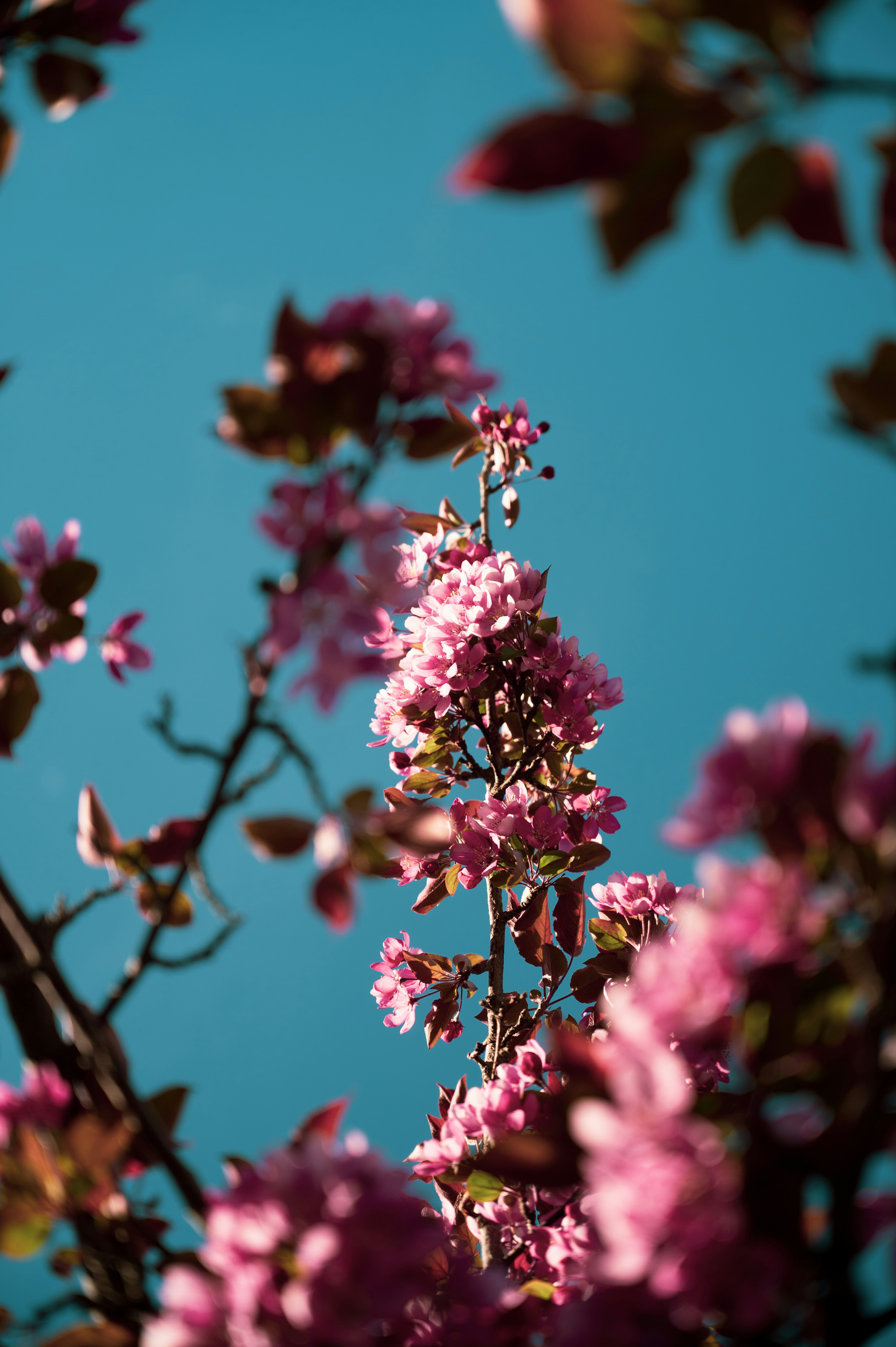 Photo by ryunosuke_kikuno