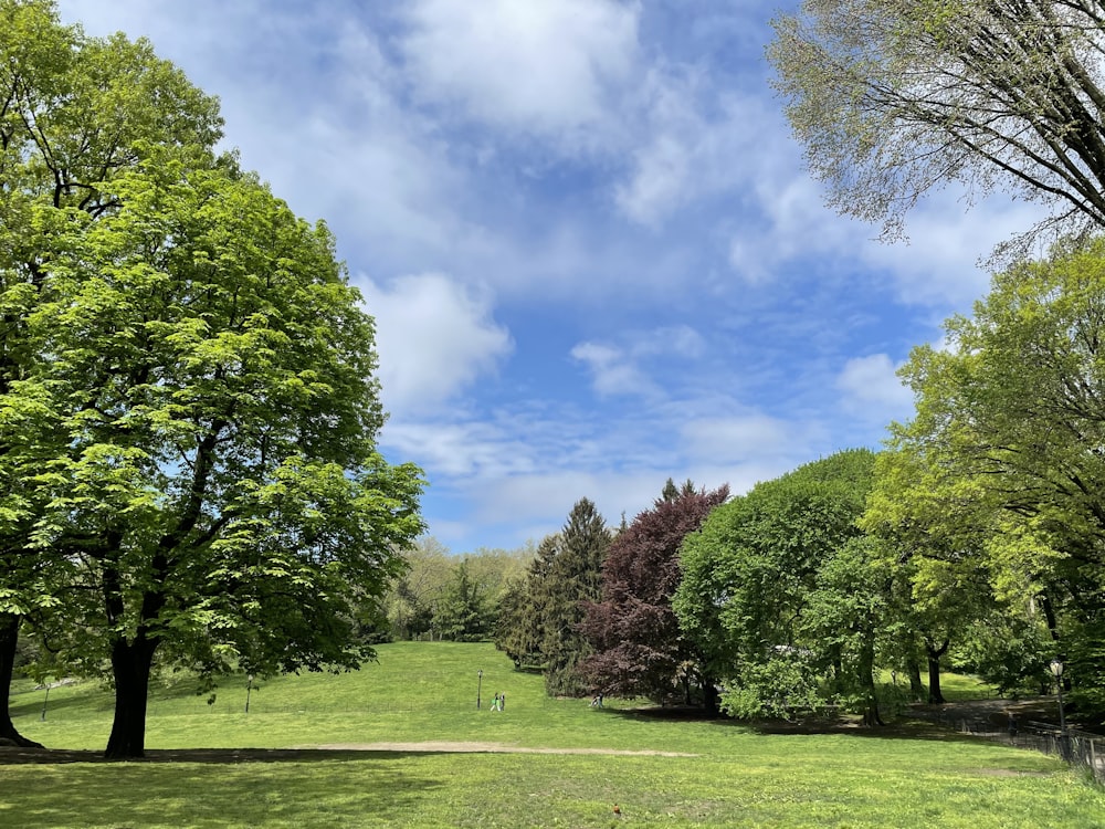 green grass field with trees under blue sky during daytime