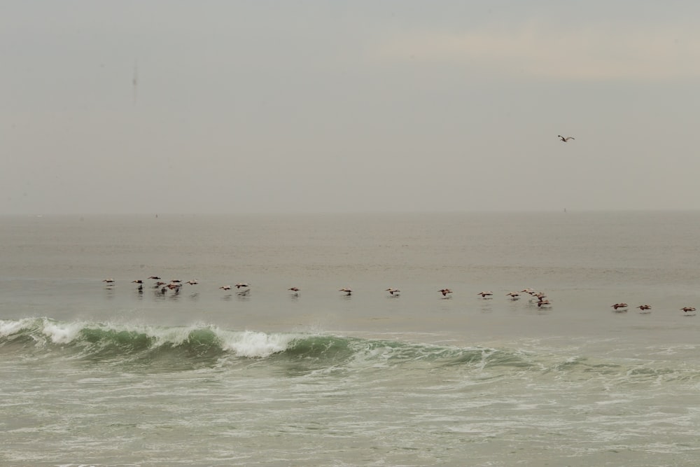 昼間、波の上でサーフィンをする人々