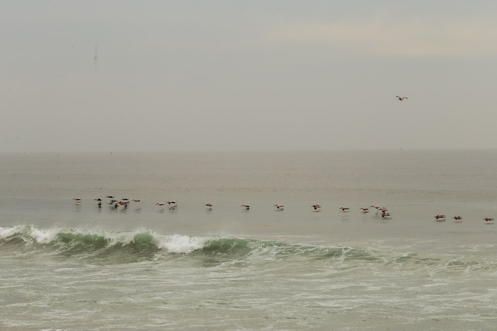 Menschen, die tagsüber auf Meereswellen surfen