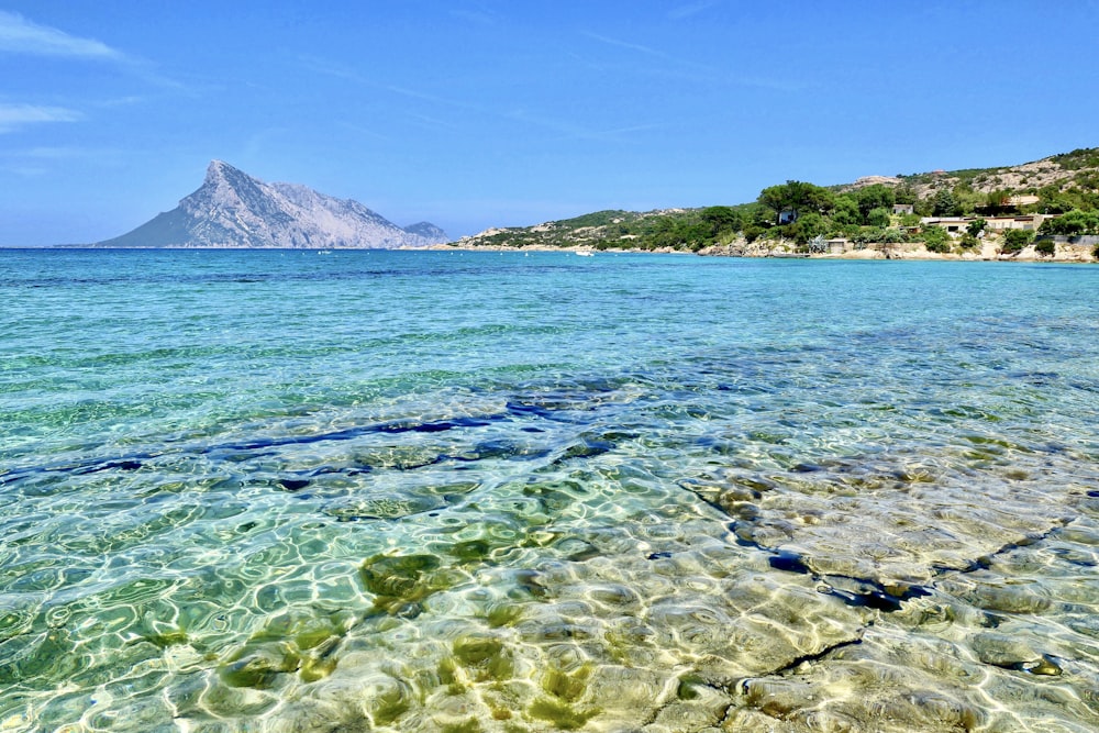 green trees on island near body of water during daytime