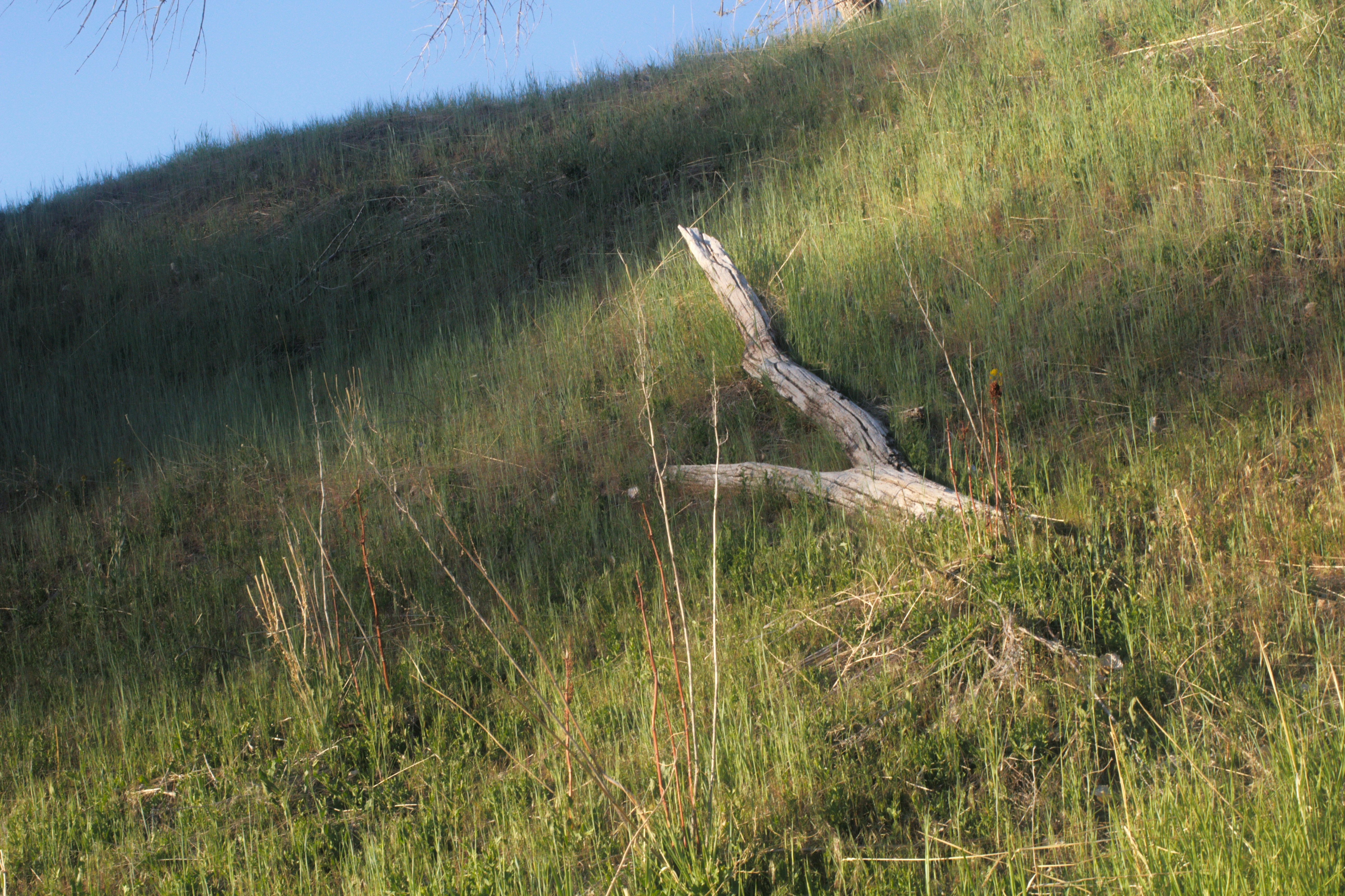 Photo by joshua_hoehne