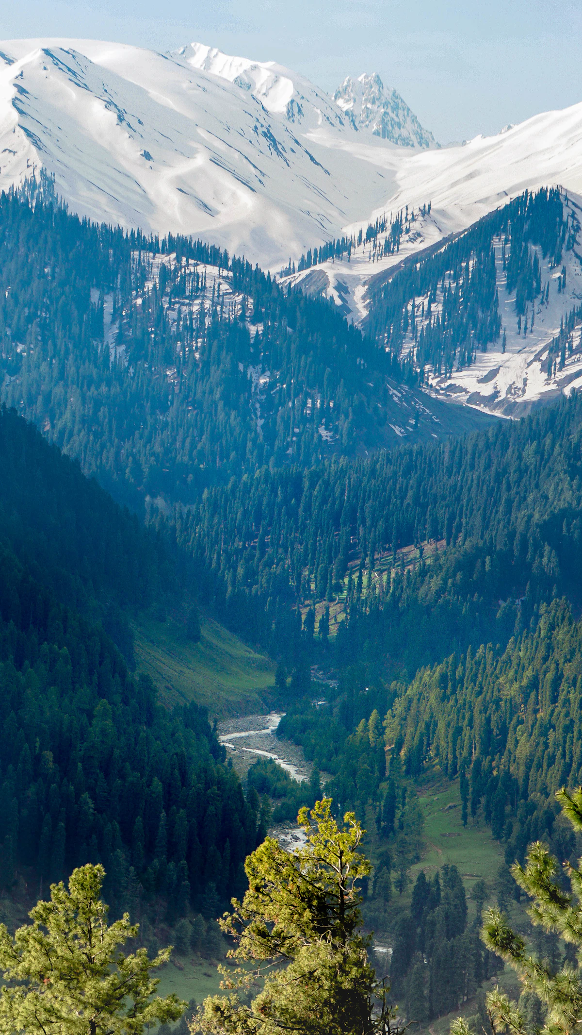 Green Himalayan valley with river and snow-capped peaks