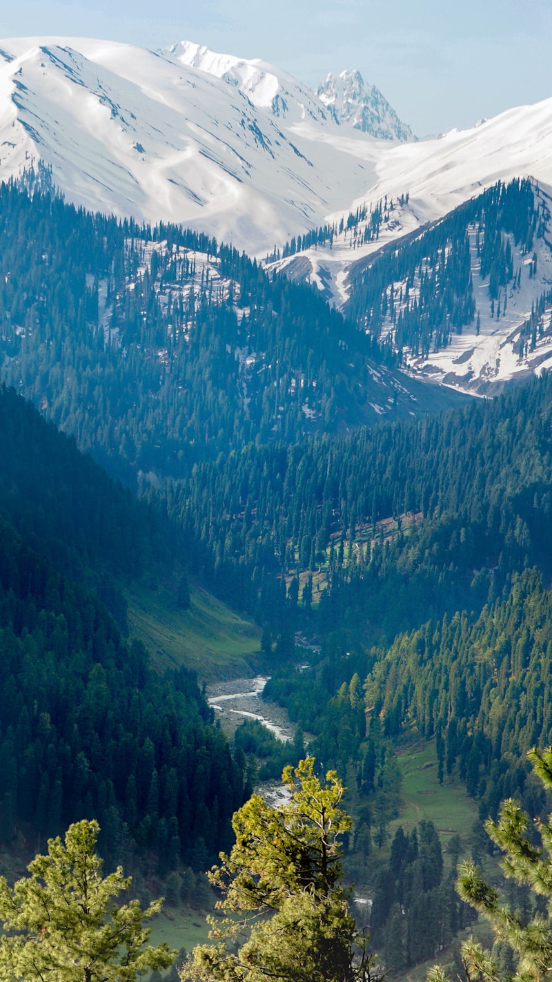 Gulmarg 1