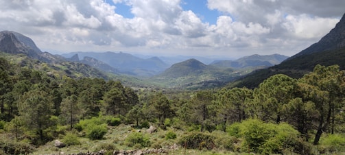 A panoramic view of a mountain trail winding through lush green forests at sunrise.