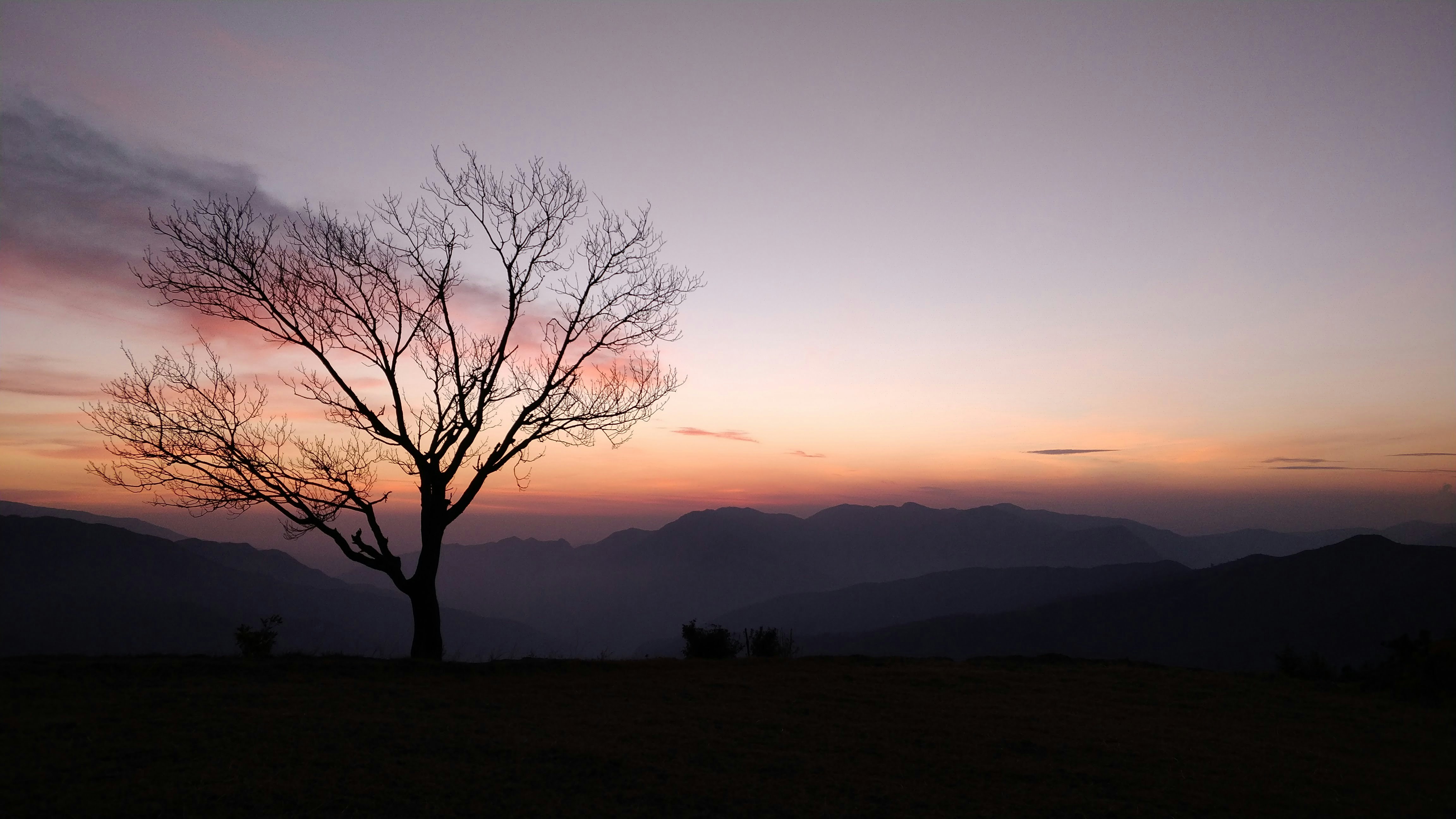 Photo by shauryakhera