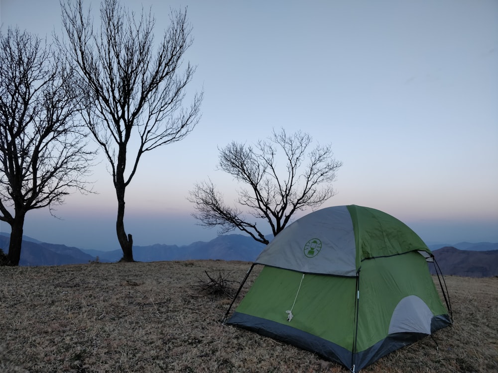 green dome tent near bare trees during daytime