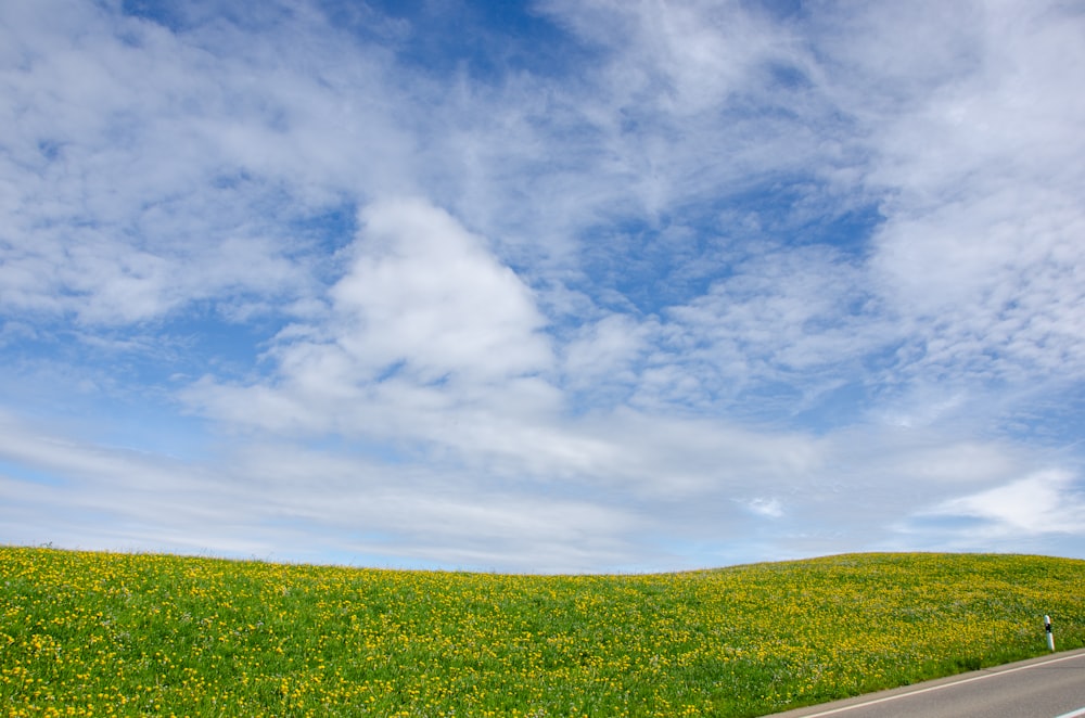 green grass field under blue sky and white clouds during daytime