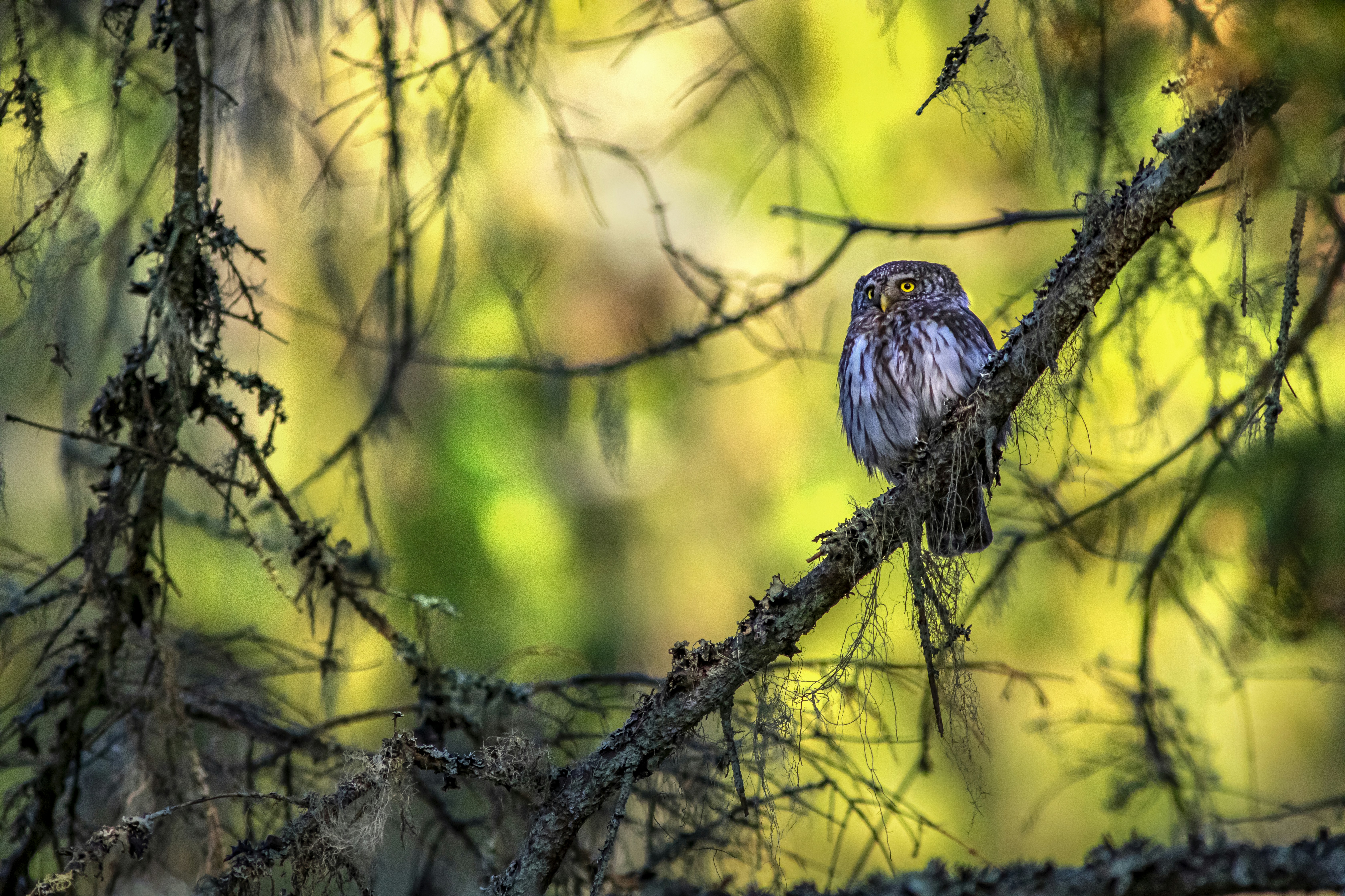 Photo by erik_karits