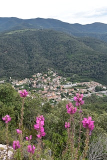 A charming village nestled in rolling hills dotted with wildflowers.
