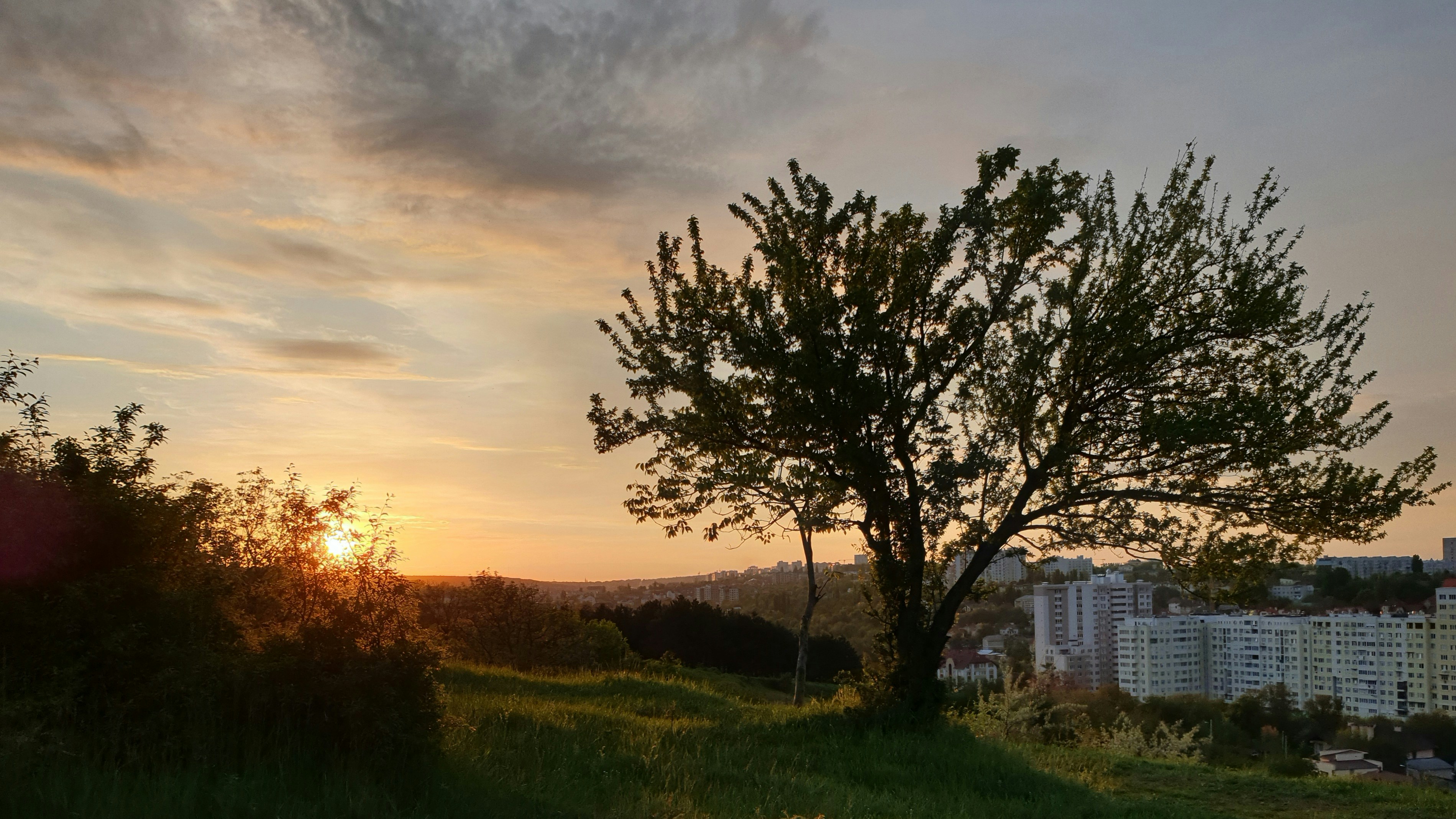 Photo by just_another_try