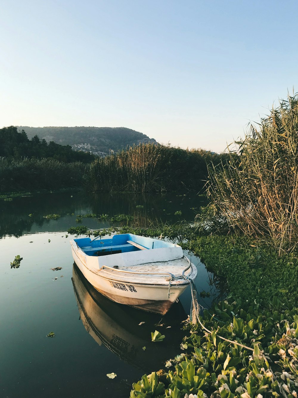 white and blue boat on lake during daytime