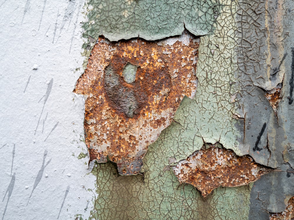 brown and green concrete wall