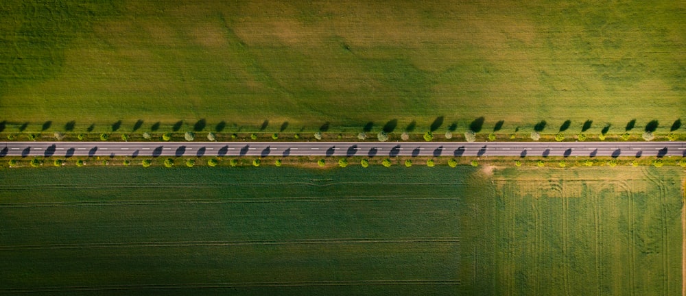 Vista aérea de un campo de hierba verde