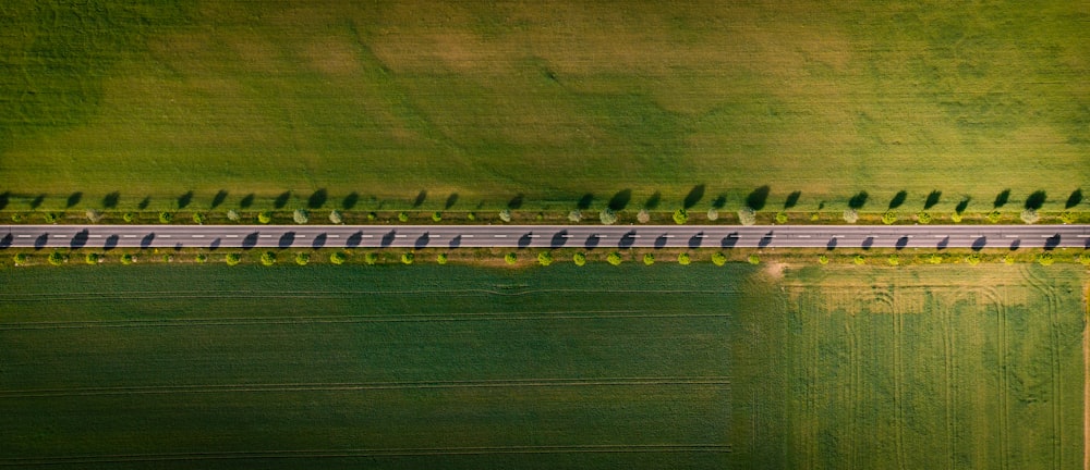 aerial view of green grass field