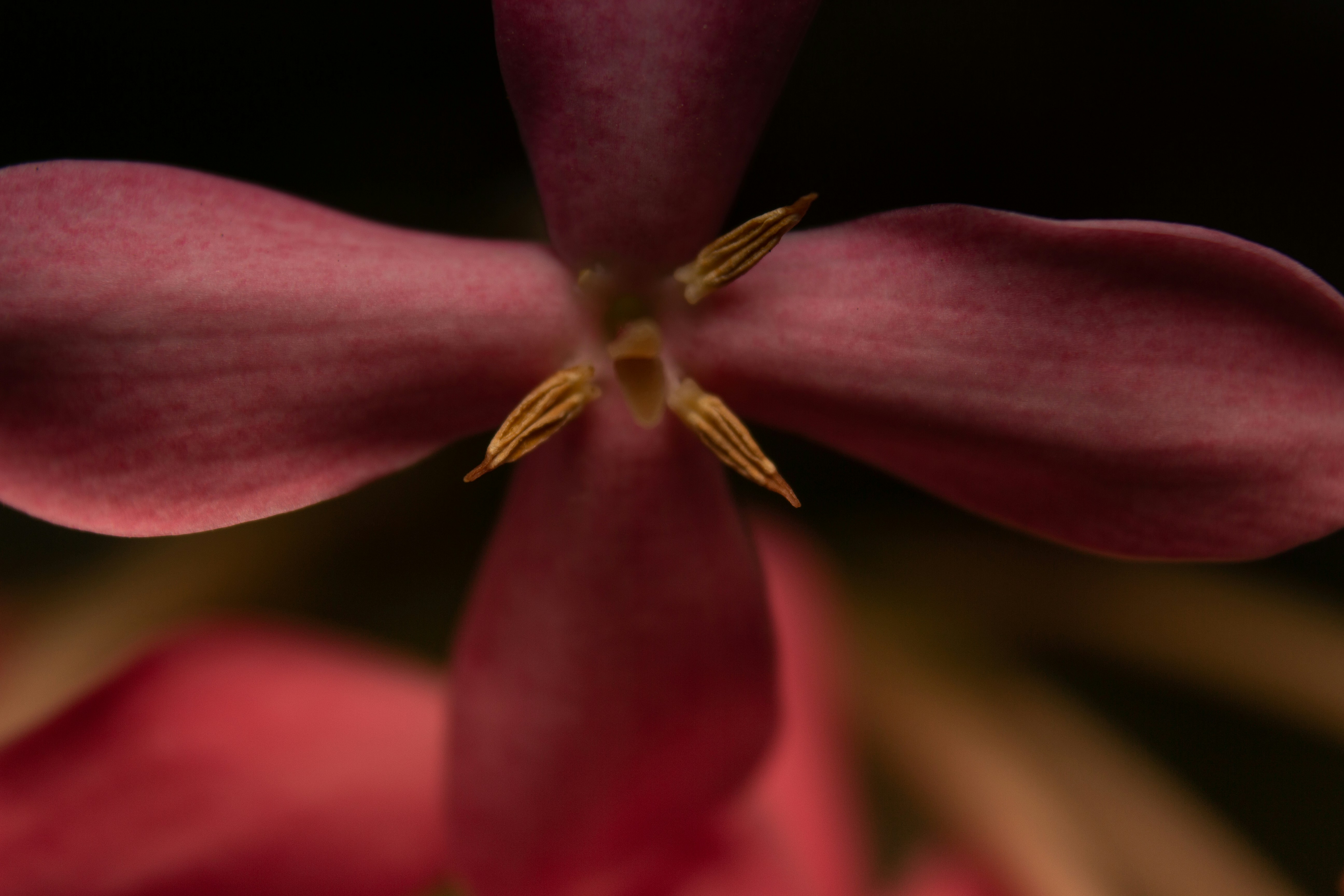 Photo by wildandbeyondbyvivek