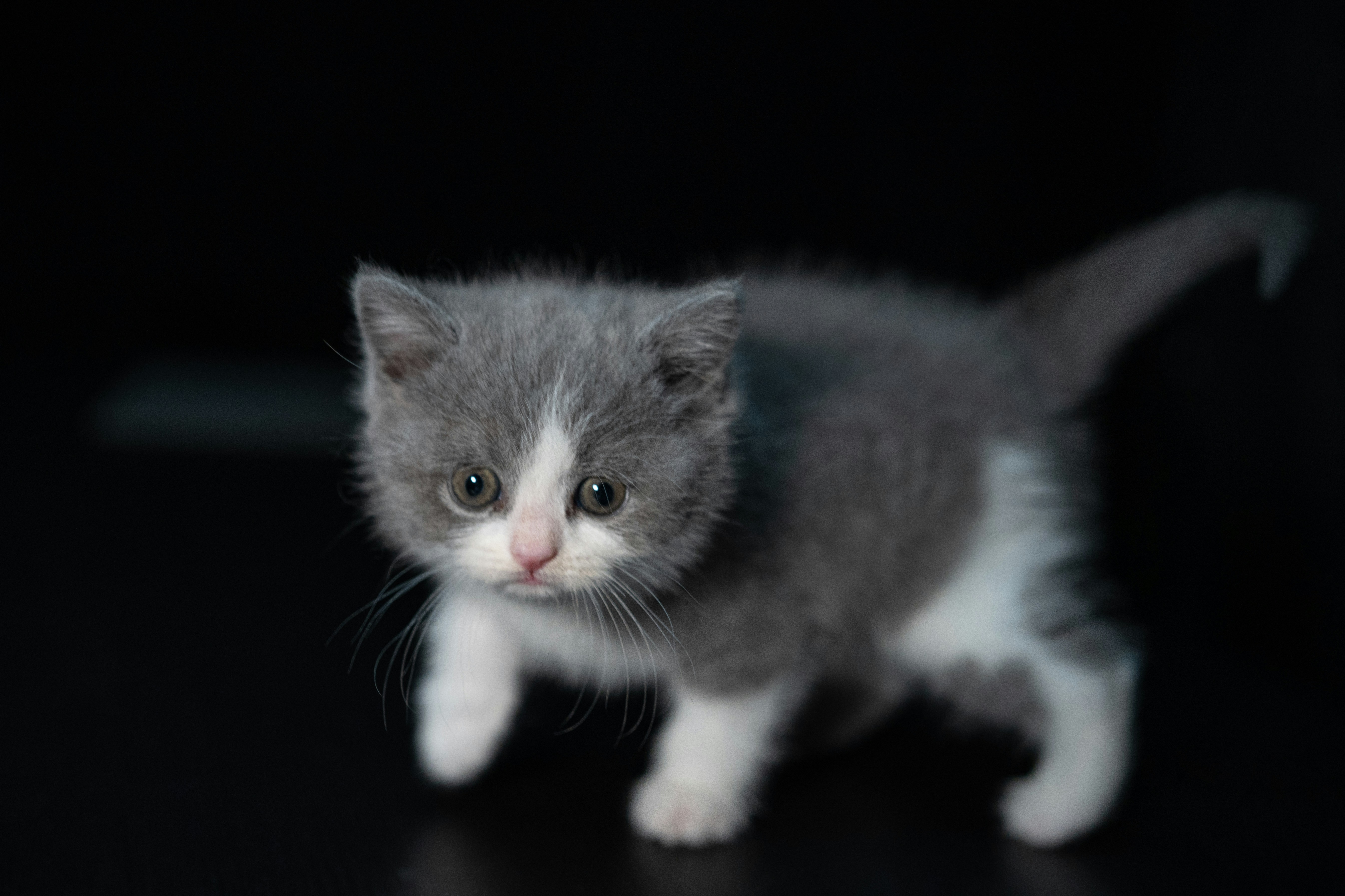 Photo by paracetamol